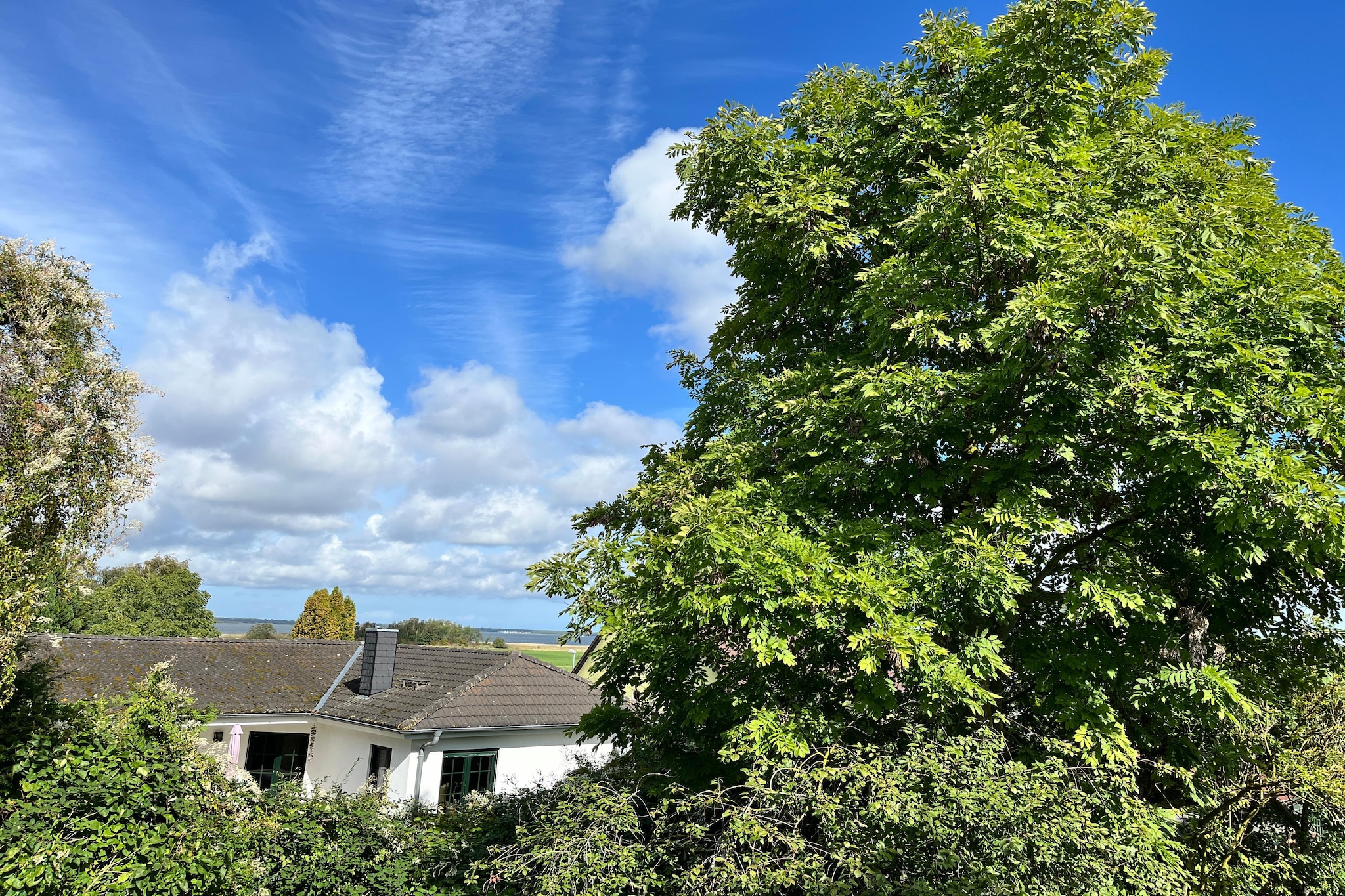 Ferienhaus Vieregge-Ferienhaus 2 D 75 qm - Uitzicht zomer