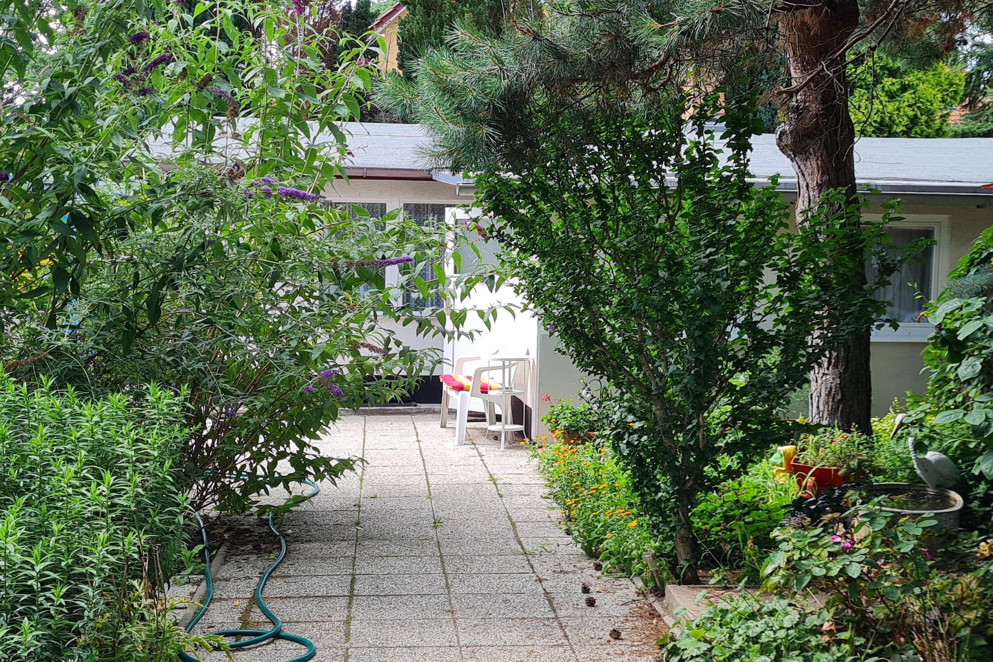 Exterior Summer