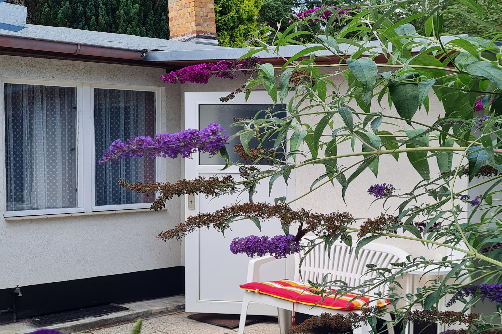 Exterior Summer