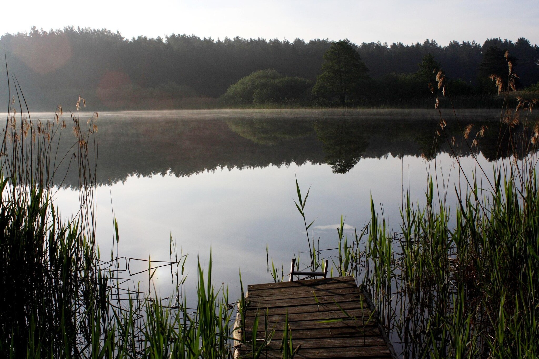 Reihenhaus Magerite-Gebieden zomer 5km