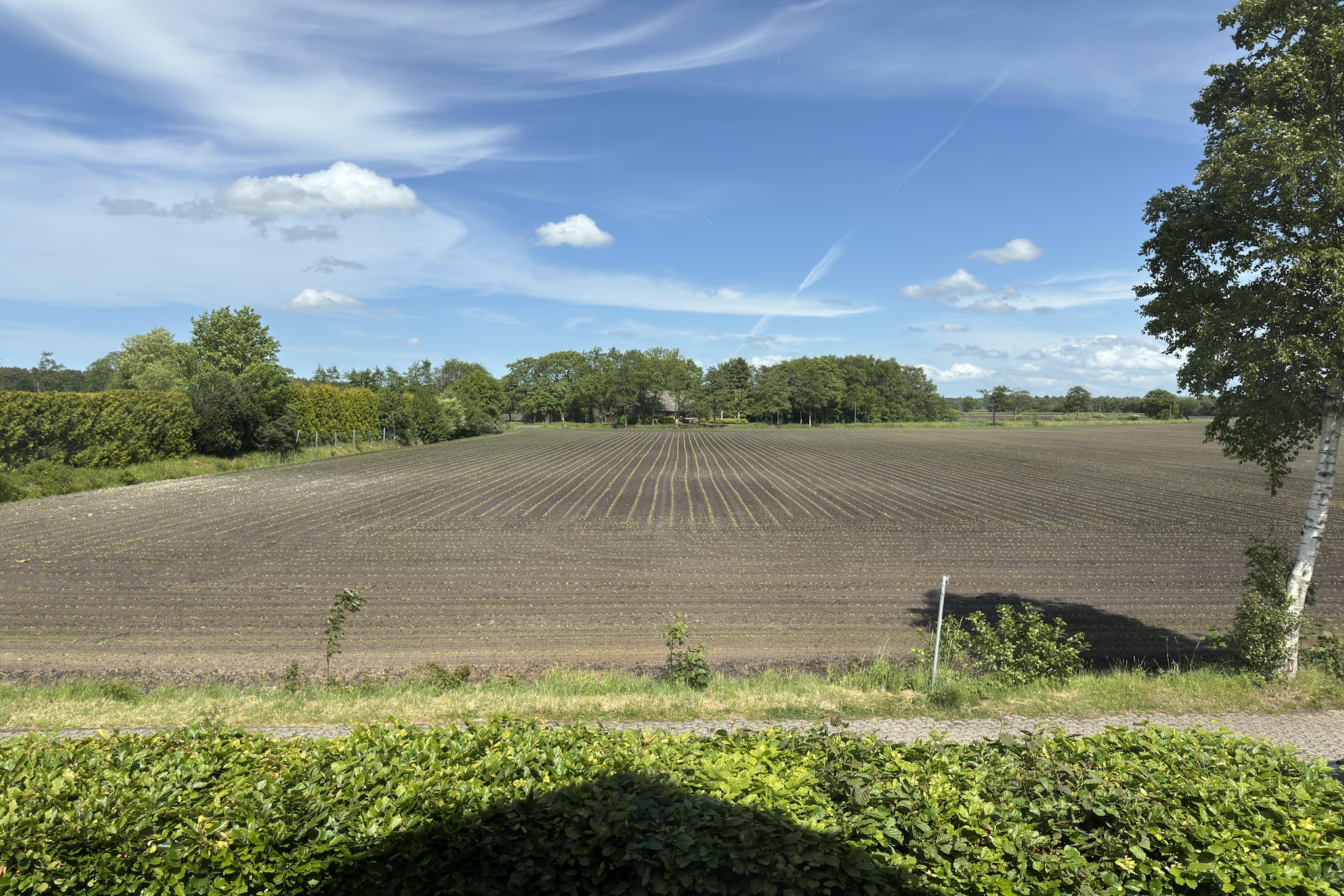Ferienwohnung Moorhusen-Uitzicht zomer