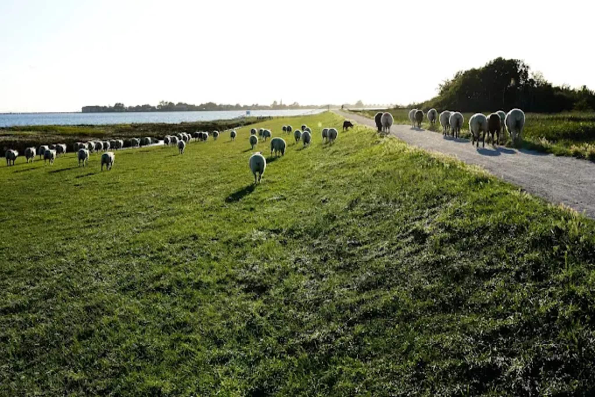 Wohnung A 3 1-2 Personen-Gebieden zomer 5km