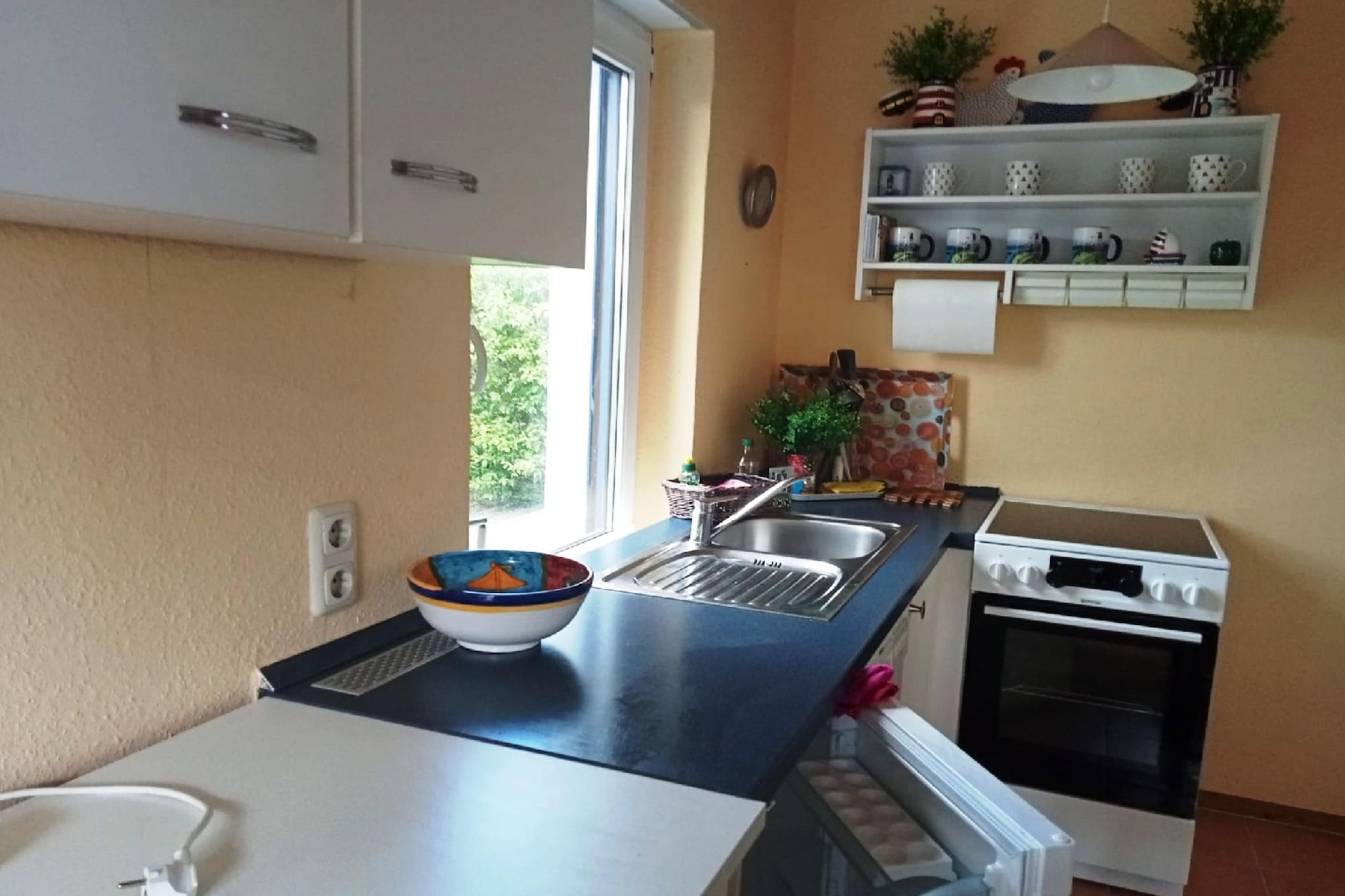 Ferienhaus Am Schilfufer - Keuken