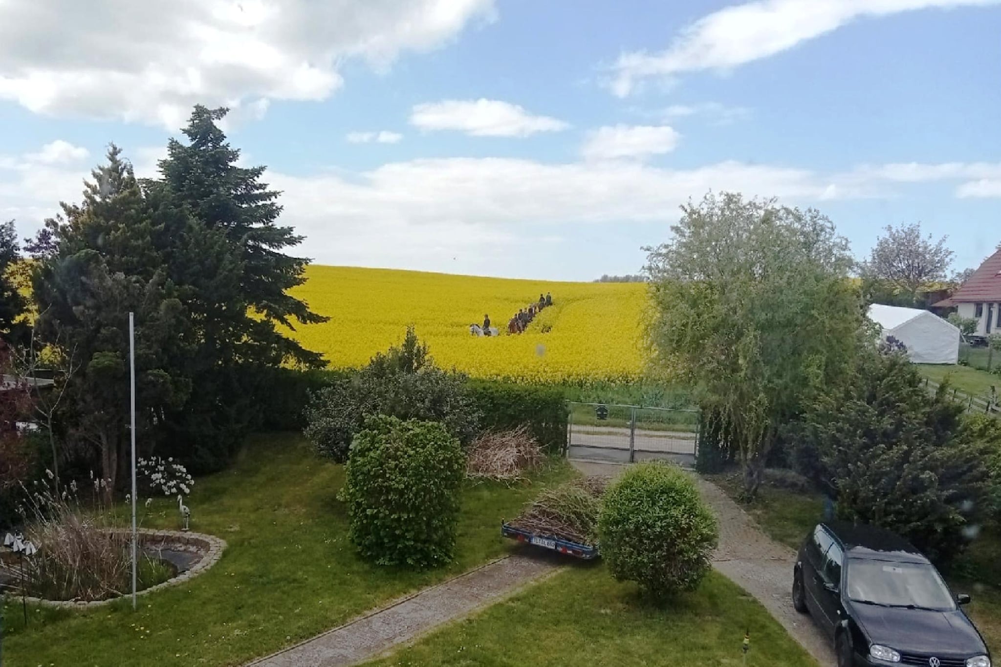 Ferienhaus Am Schilfufer - Uitzicht zomer