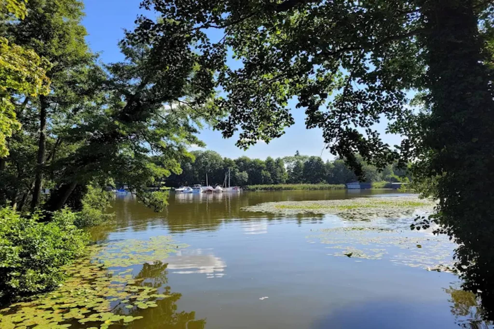 Fewo 2 60 qm-Gebieden zomer 5km