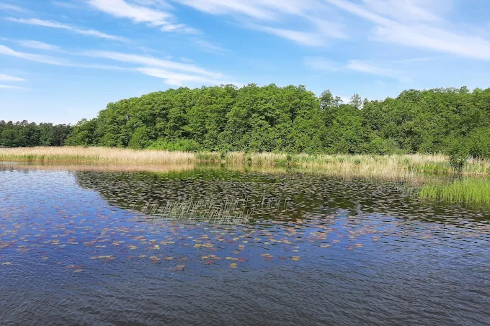 Fewo 2 60 qm-Gebieden zomer 5km