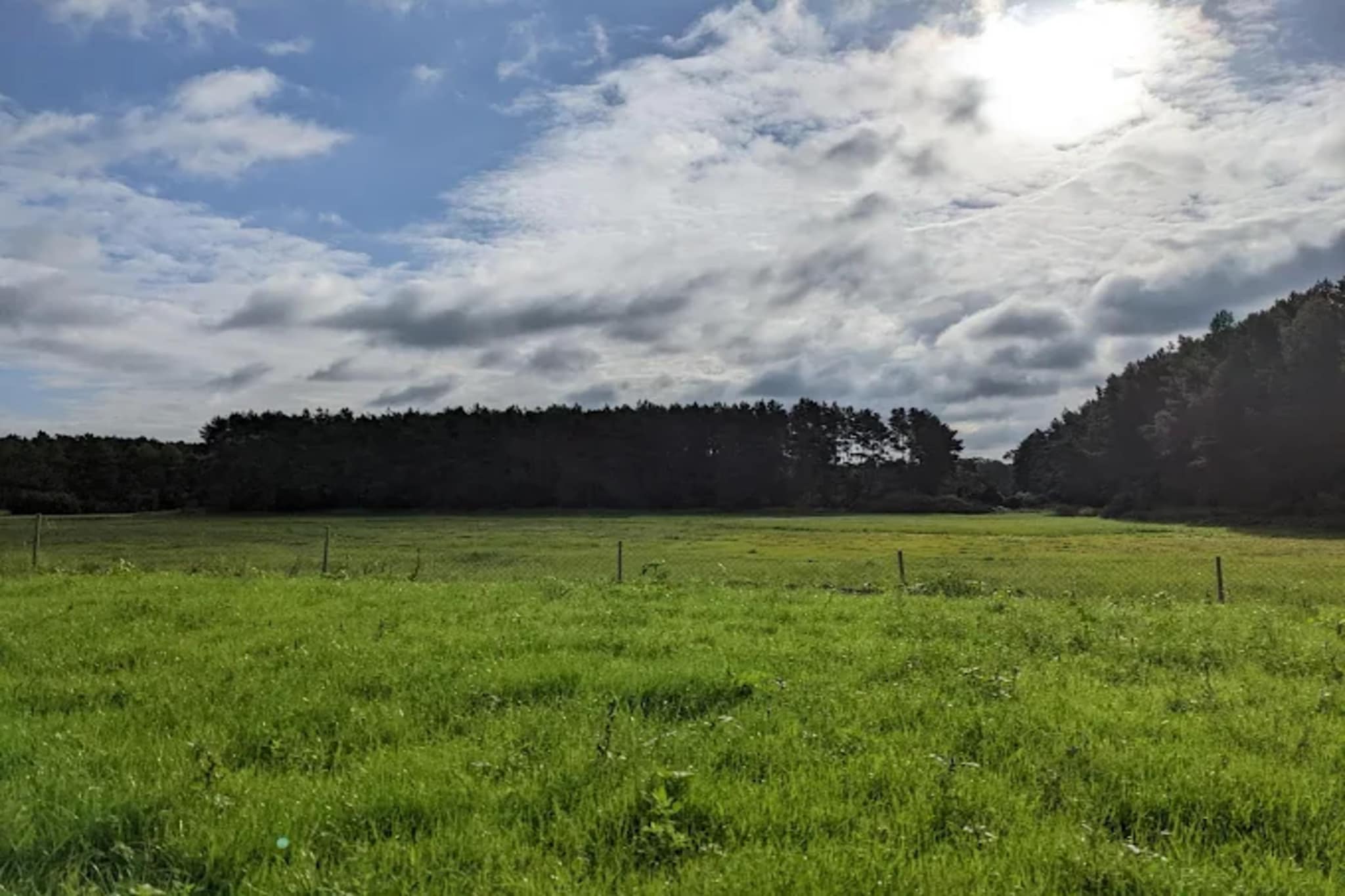 Bungalow 47 qm 4 Pers-Gebieden zomer 5km