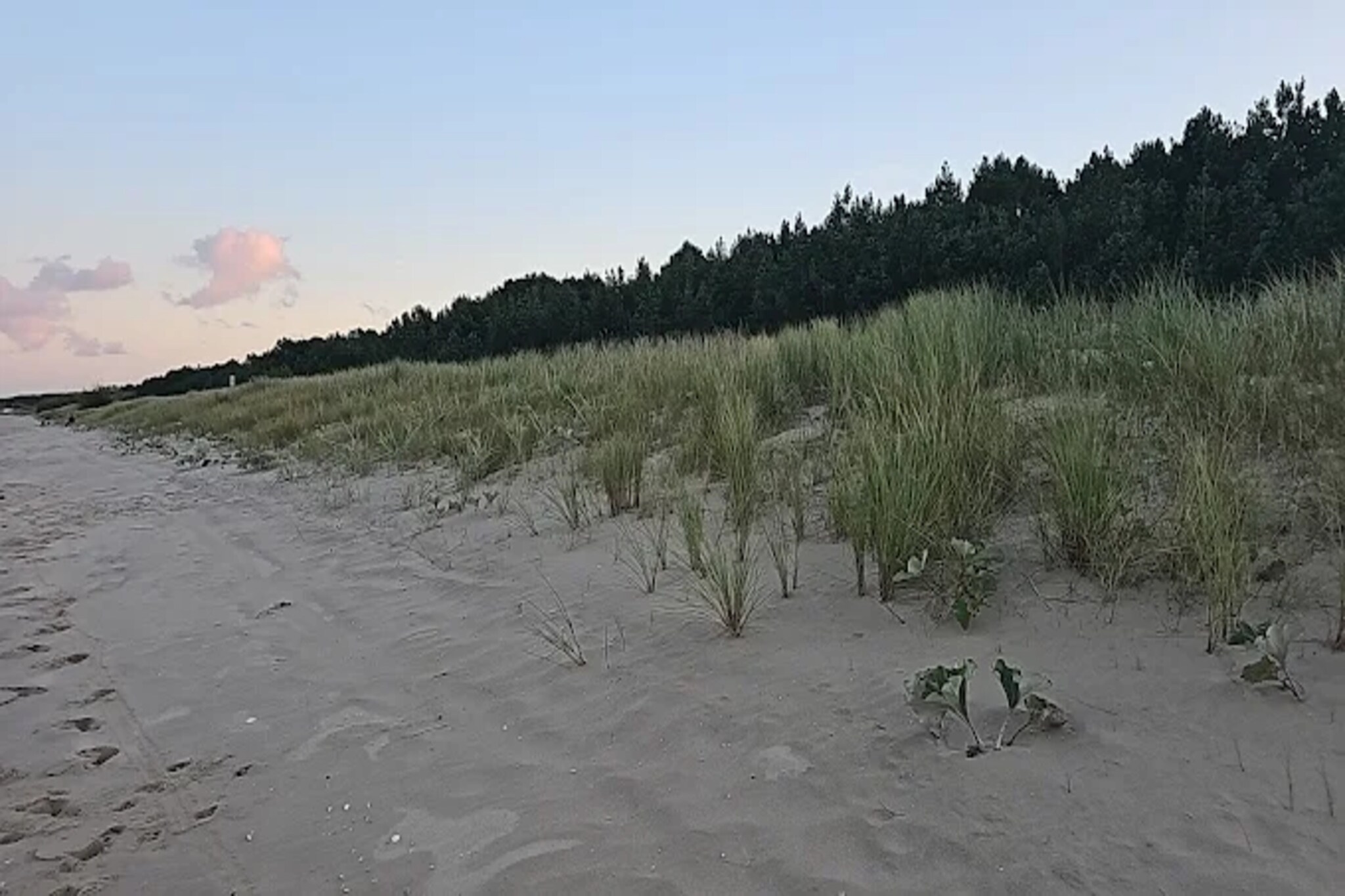 Blockhaus-Gebieden zomer 5km