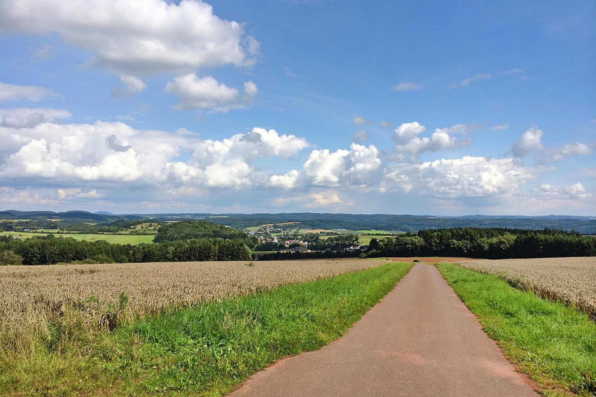 Habicht 3 Pers-Gebieden zomer 20km