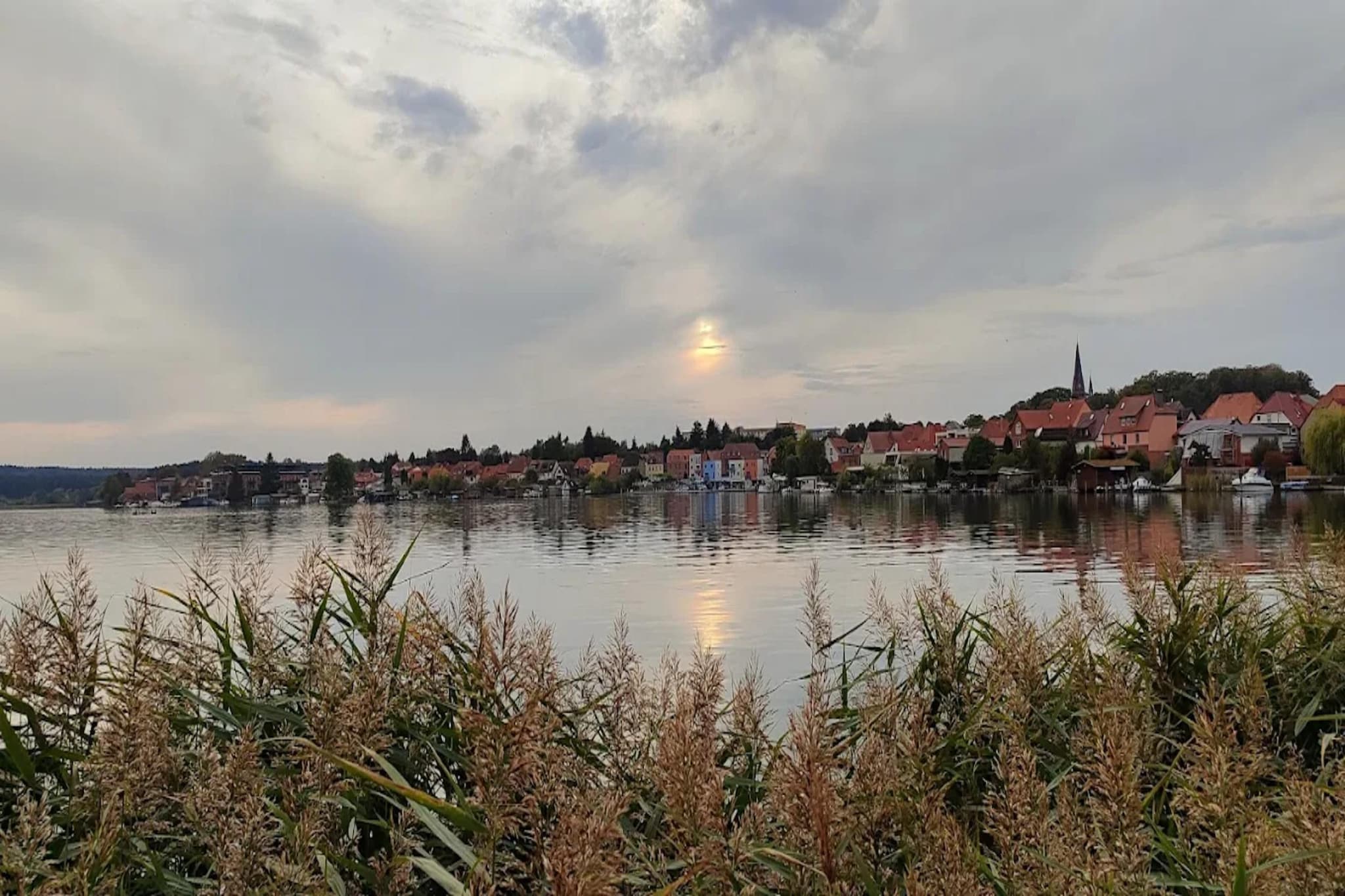 Fewo groß 50 qm-Gebieden zomer 5km