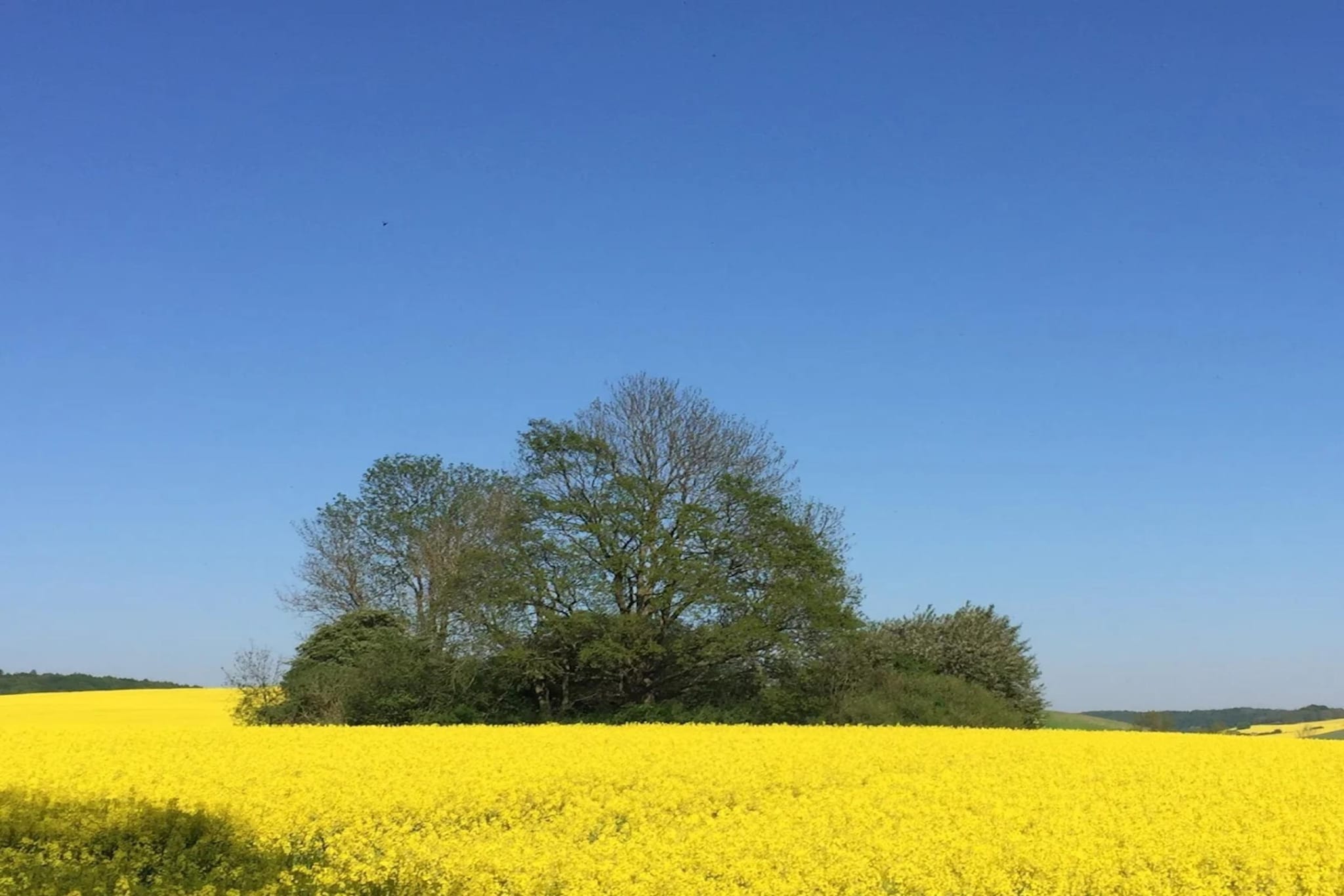 Wohnung oben rechts-Gebieden zomer 5km