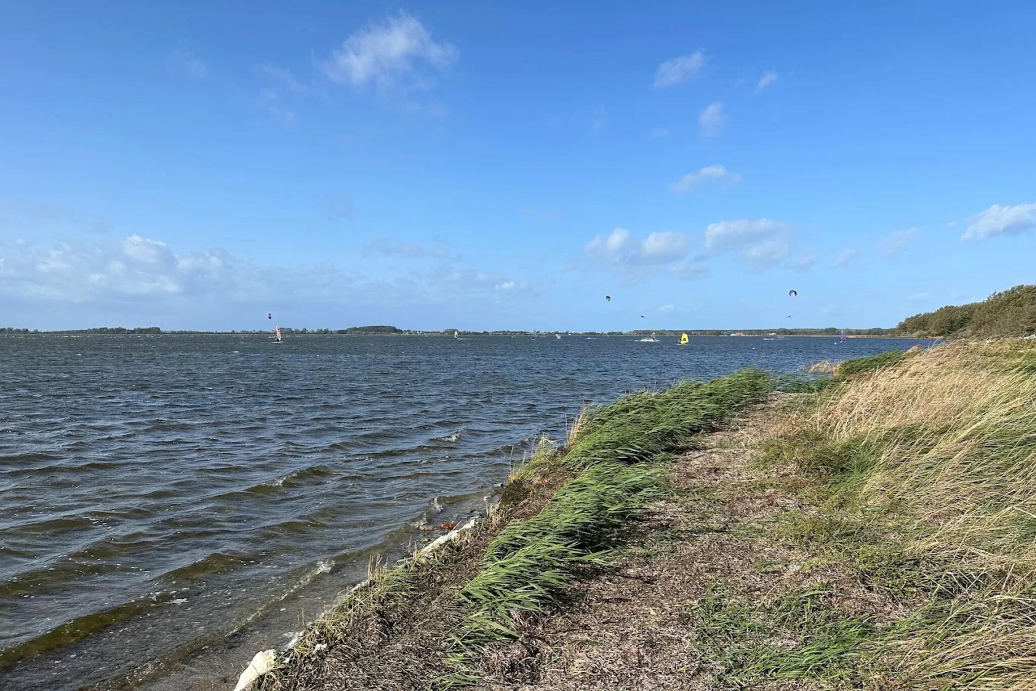 Ferienwohnung Großer Seestern Wiek-Wohnung 4-Gebieden zomer 5km