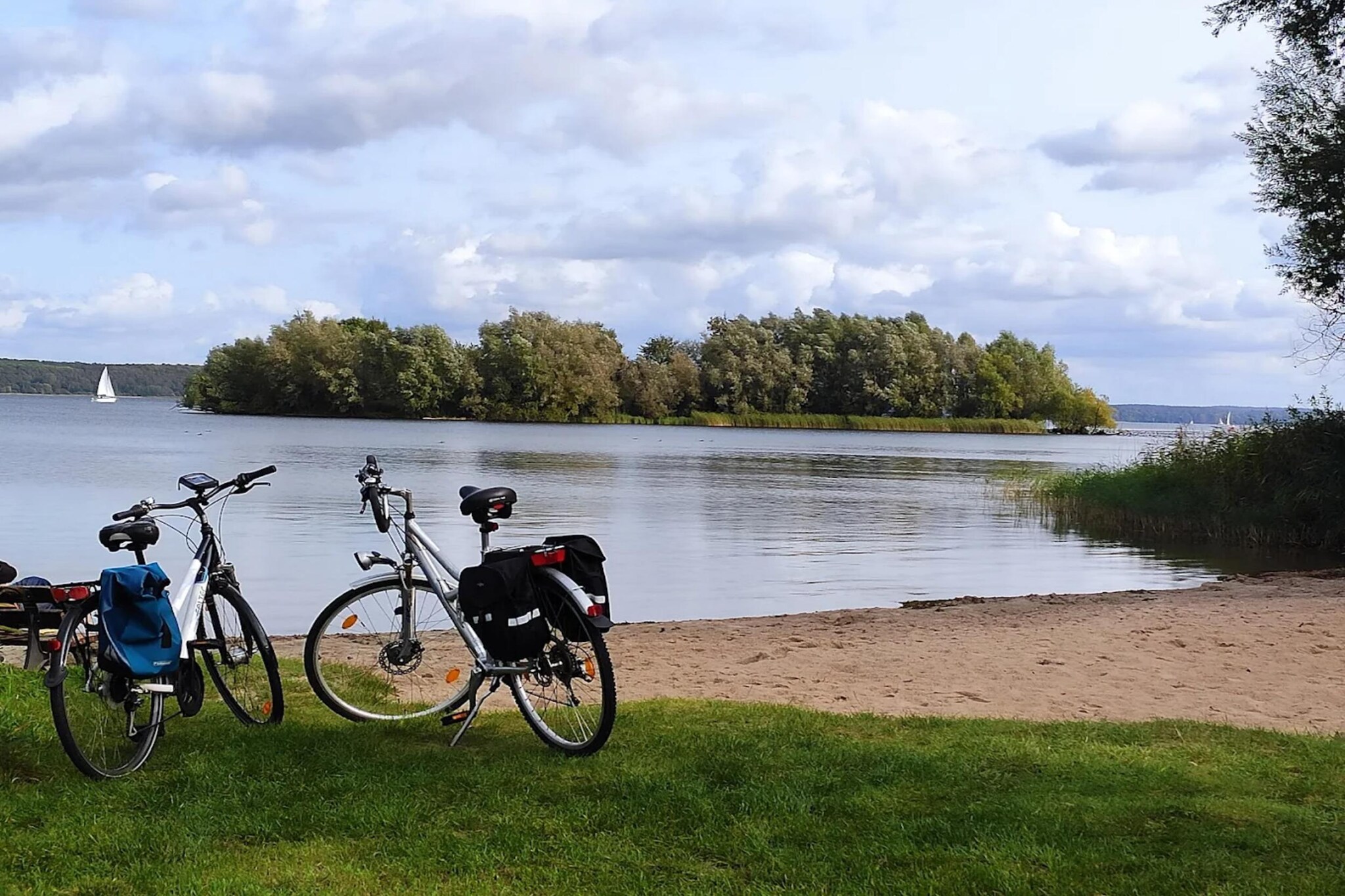 Kiebitz 100 qm-Gebieden zomer 1km