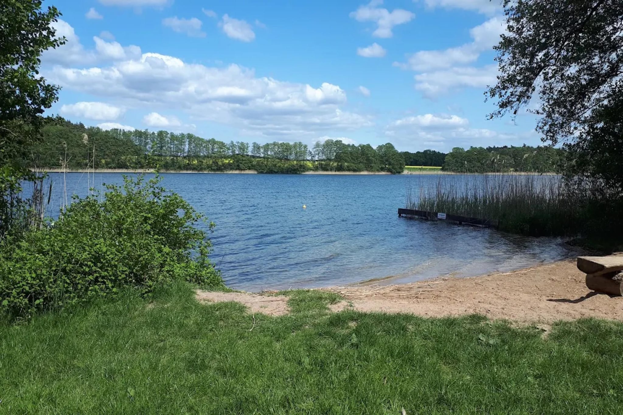 Kiebitz 100 qm-Gebieden zomer 1km