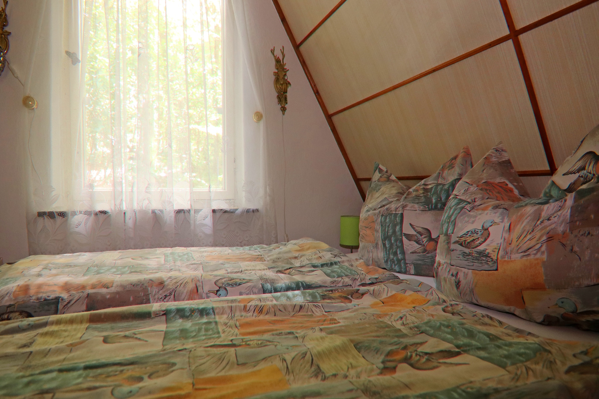 Ferienhaus 60 qm