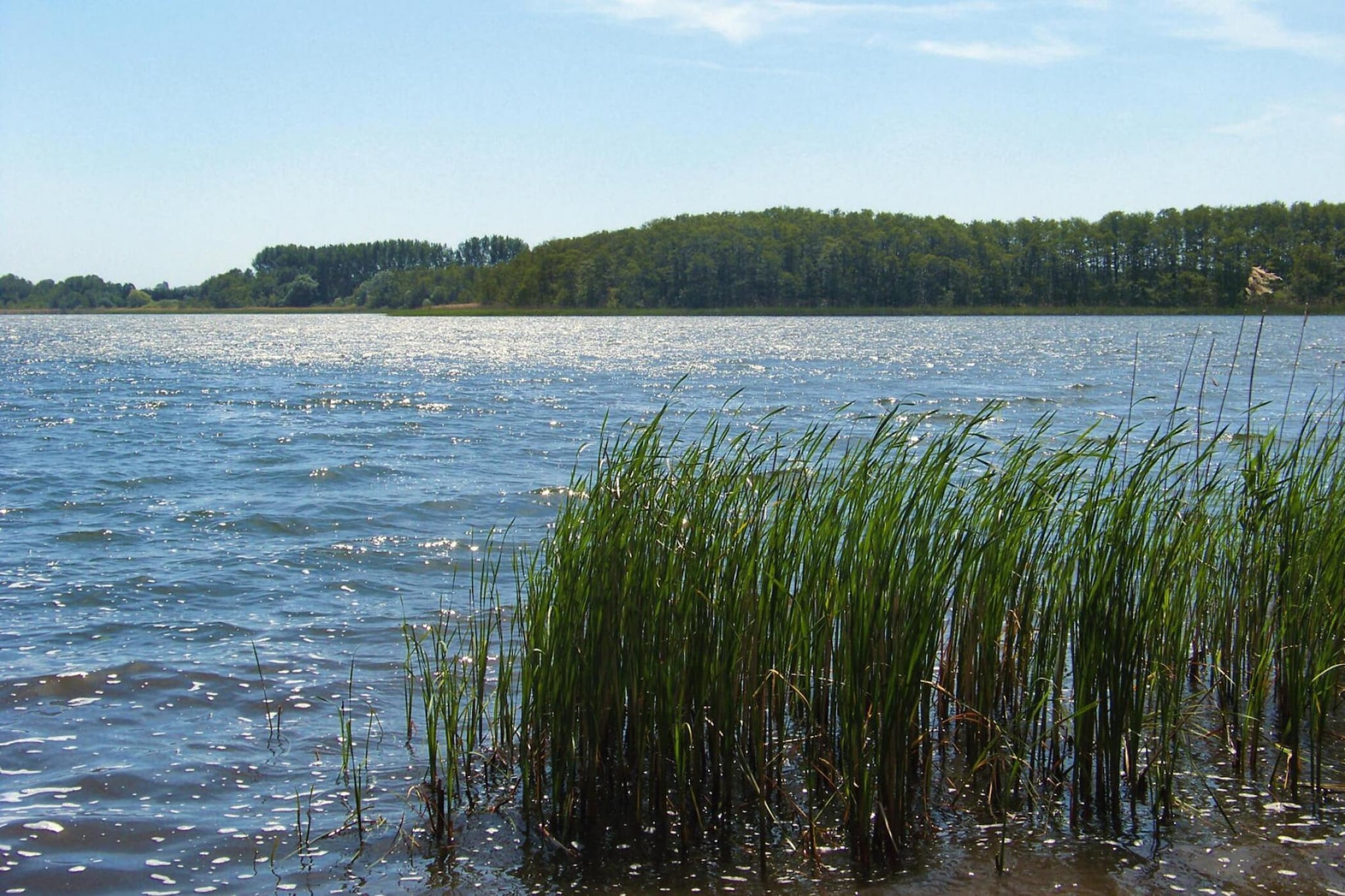 Reihenbungalow neu 45 qm-Gebieden zomer 5km
