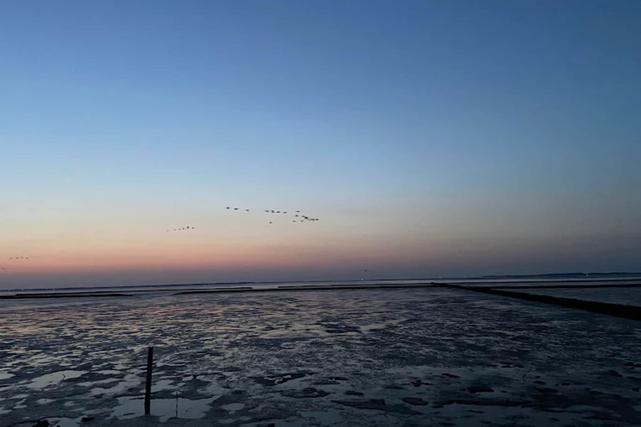 Ferienbungalow Klönsnack in Dornumersiel-Gebieden zomer 5km