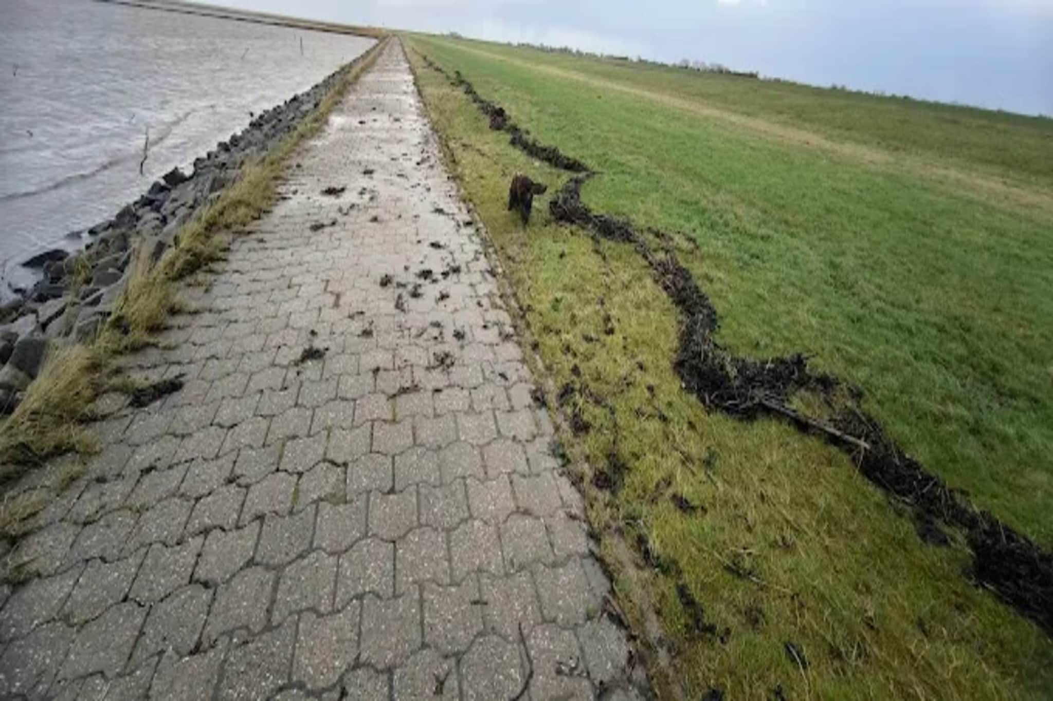 Ferienbungalow Klönsnack in Dornumersiel-Gebieden zomer 5km