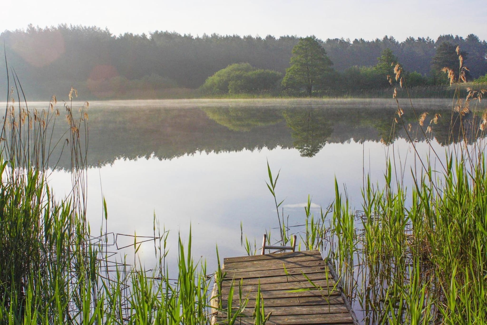 Doppelhaus Seestern-Gebieden zomer 5km