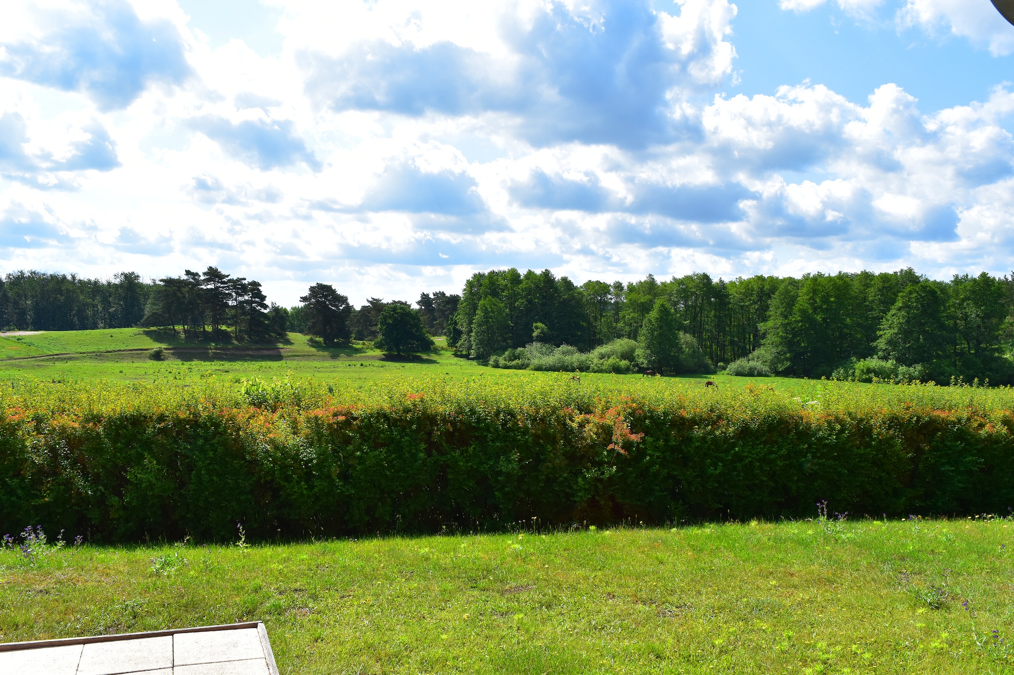 Doppelhaus Seestern-View summer