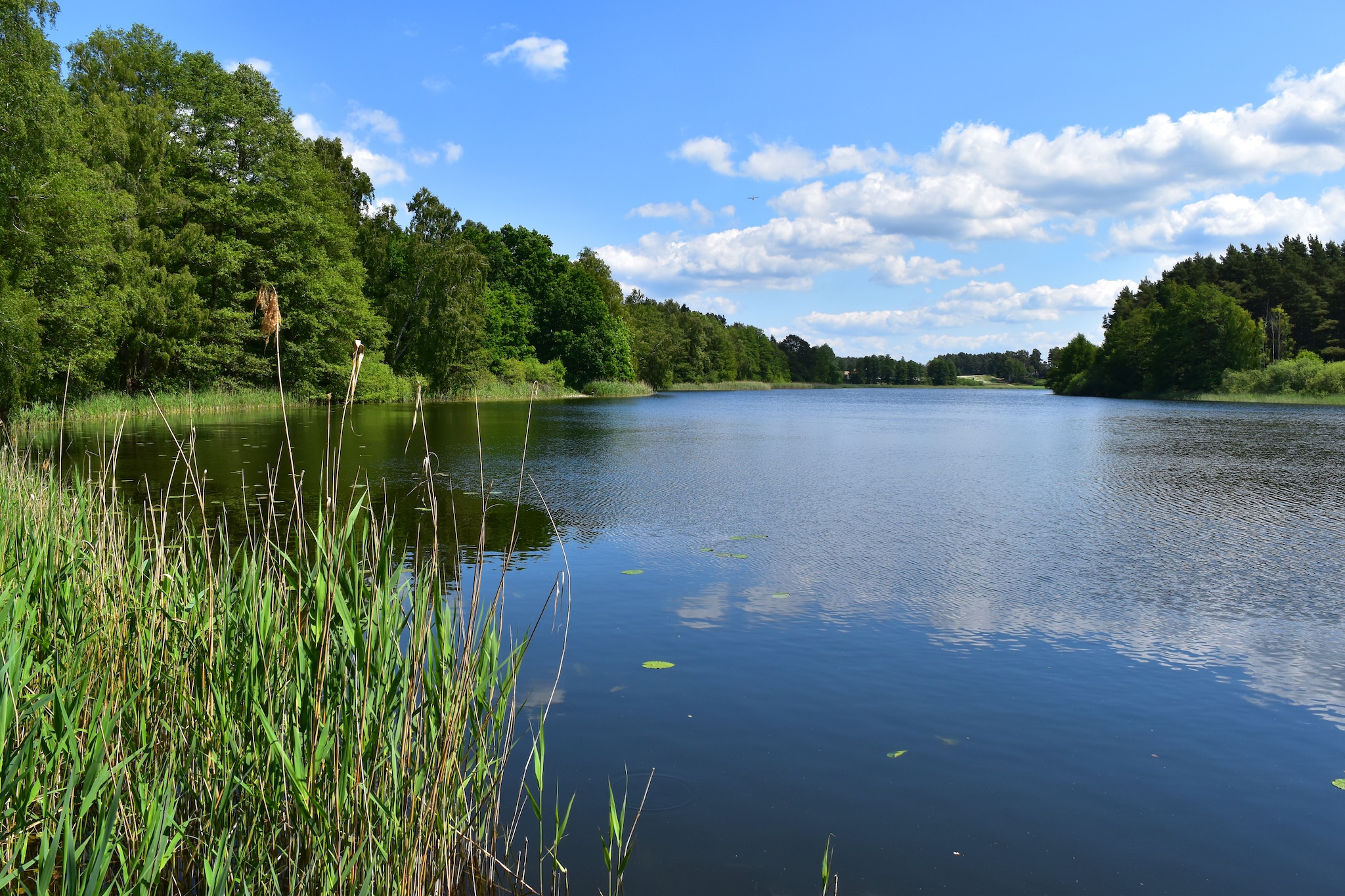 Doppelhaus Seepferdchen-Gebieden zomer 1km