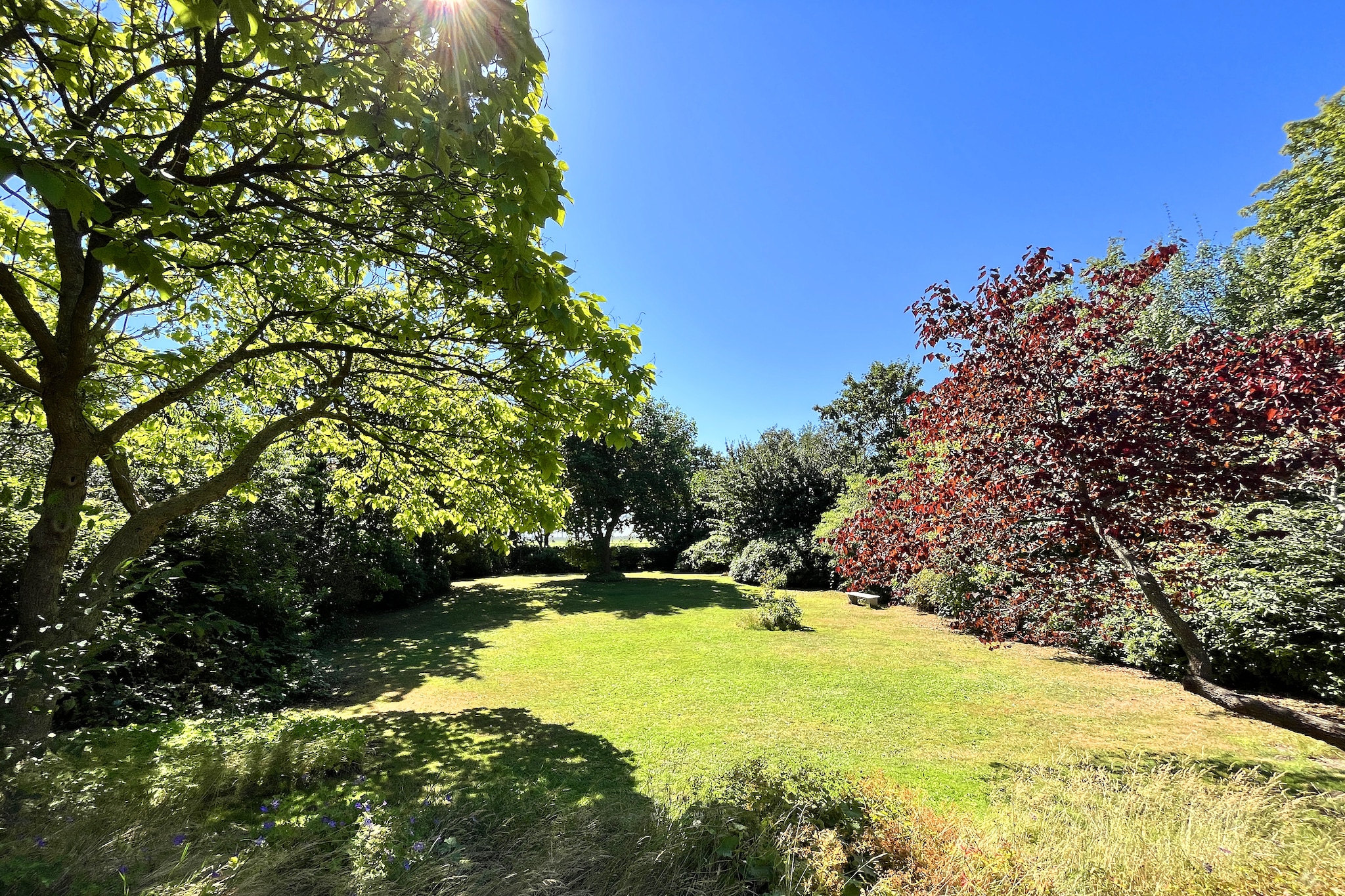 Ferienhaus am Wung in Husum - Jardins en été