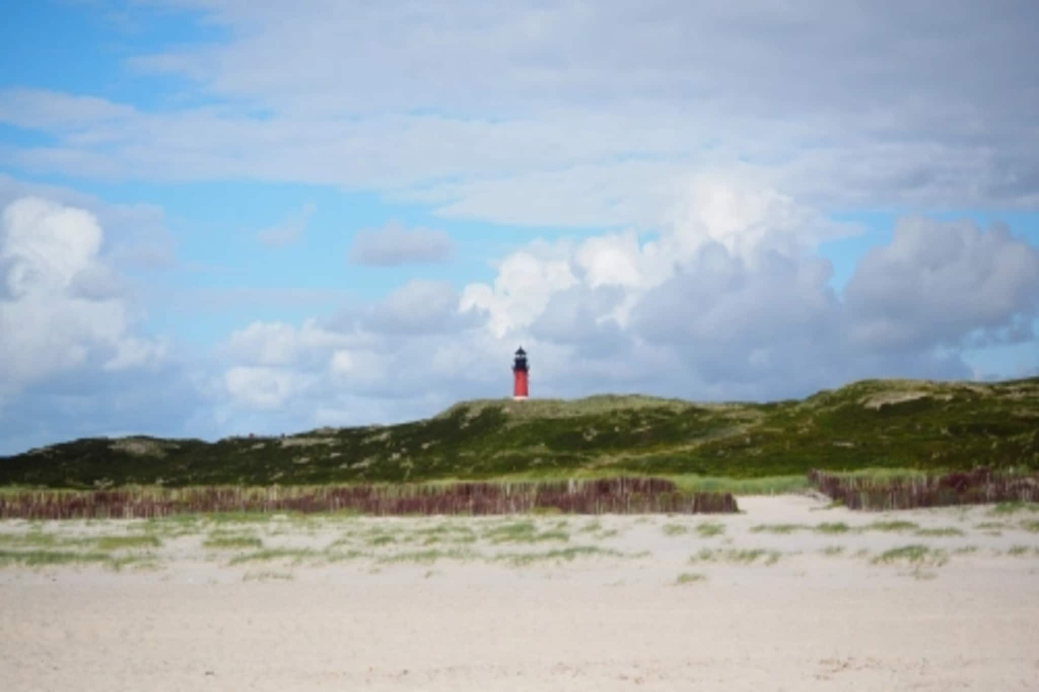 Ferienwohnung in Wyk auf Föhr - Stockente-Gebieden zomer 5km