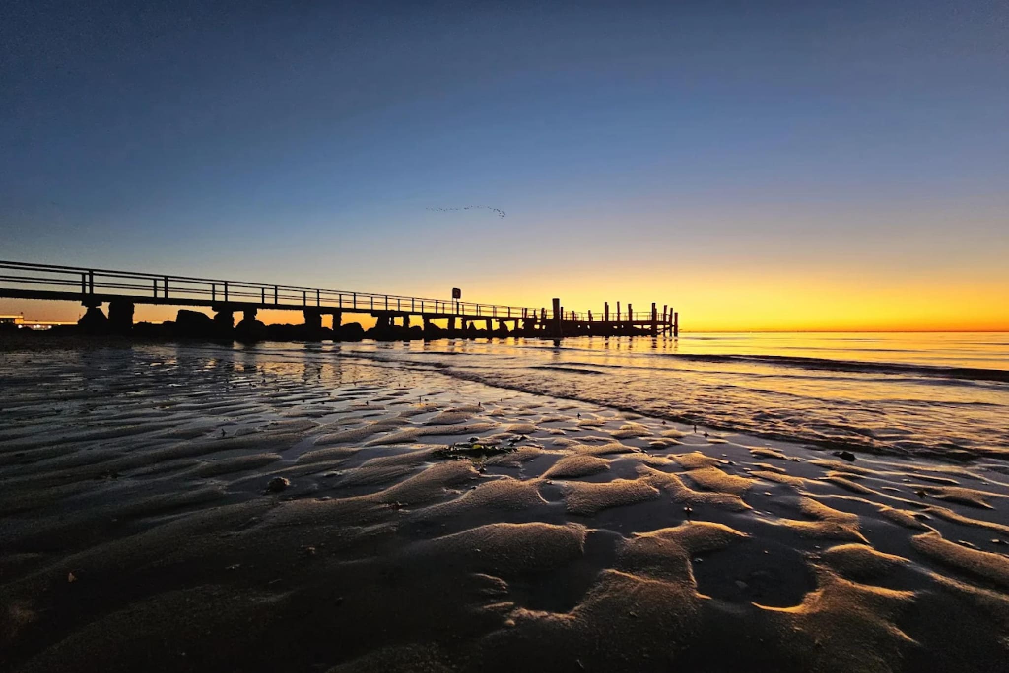 Ferienwohnung in Wyk auf Föhr - Stockente-Gebieden zomer 5km