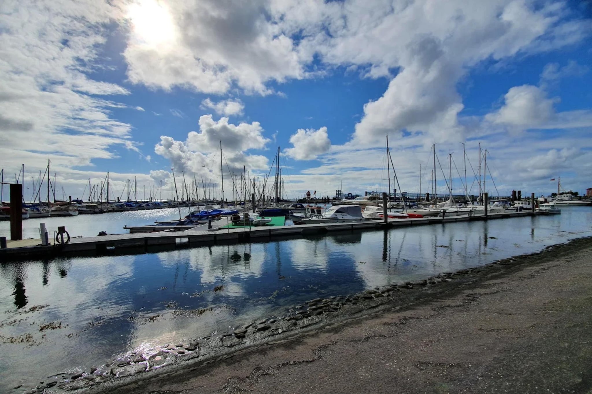 Ferienwohnung in Wyk auf Föhr - Stockente-Gebieden zomer 5km