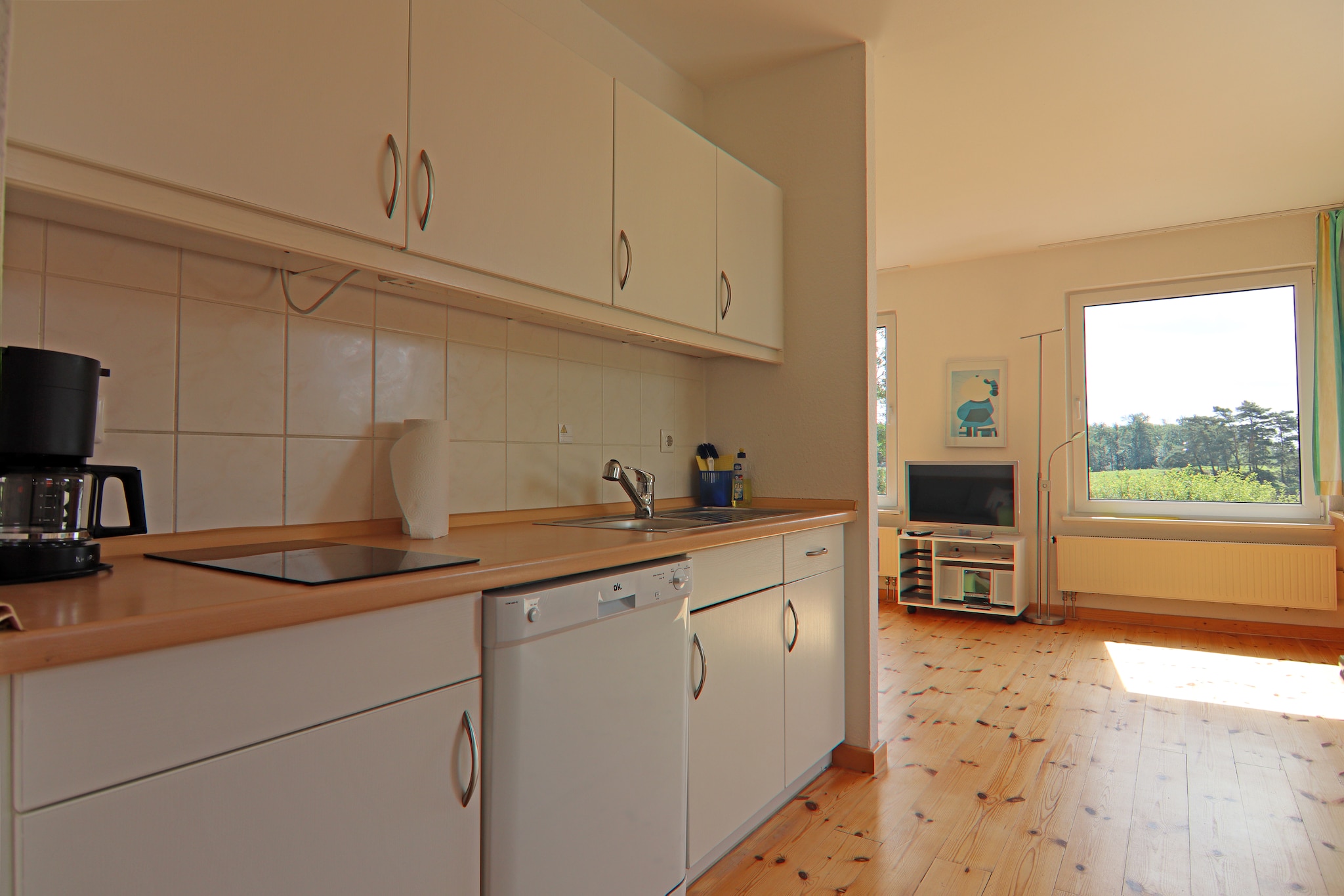 Ferienhäuser Inselblick / Ferienhaus 1 60 qm-Kitchen