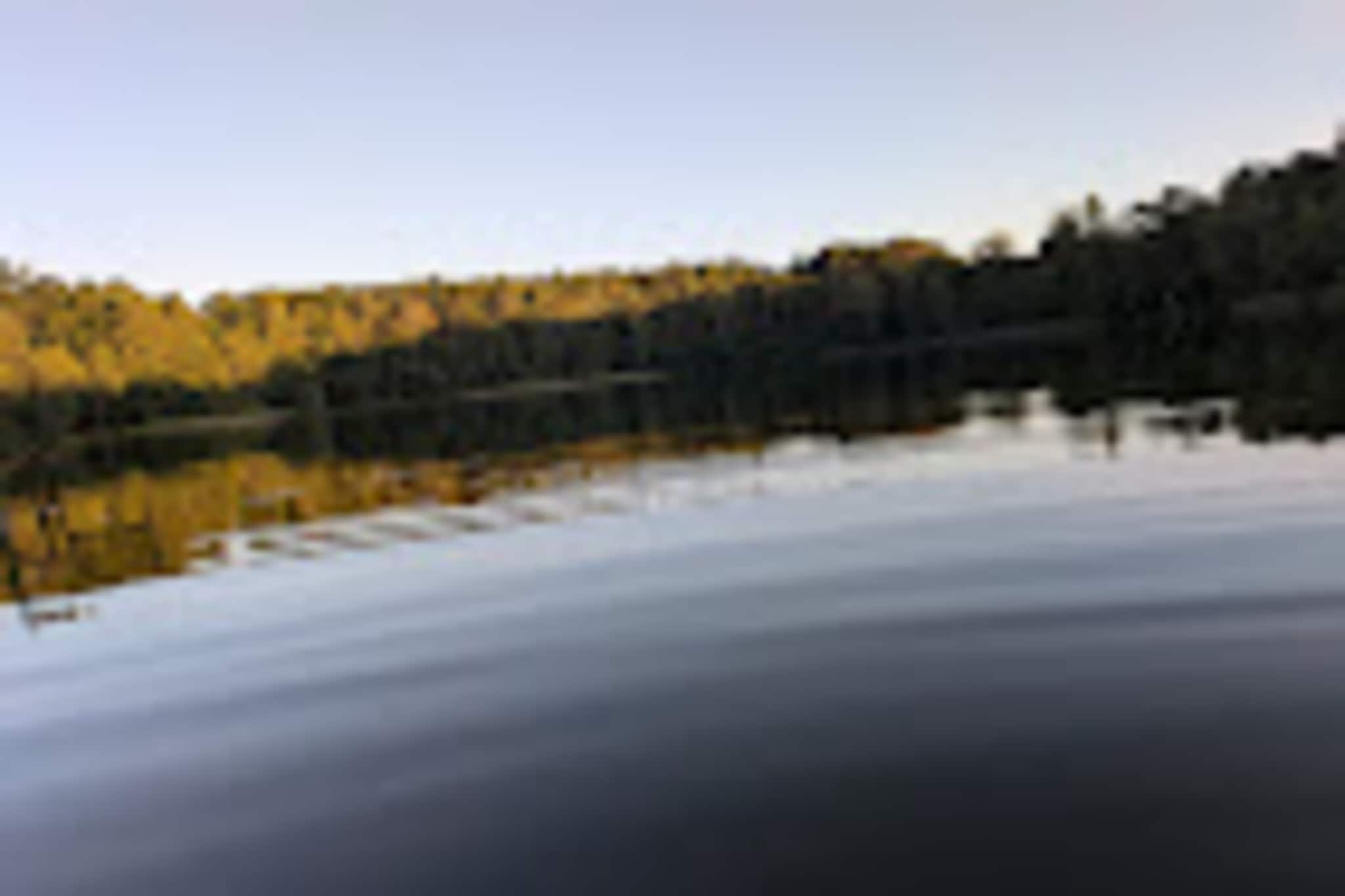 Bungalow 50 qm 5 Pers-Gebieden zomer 5km