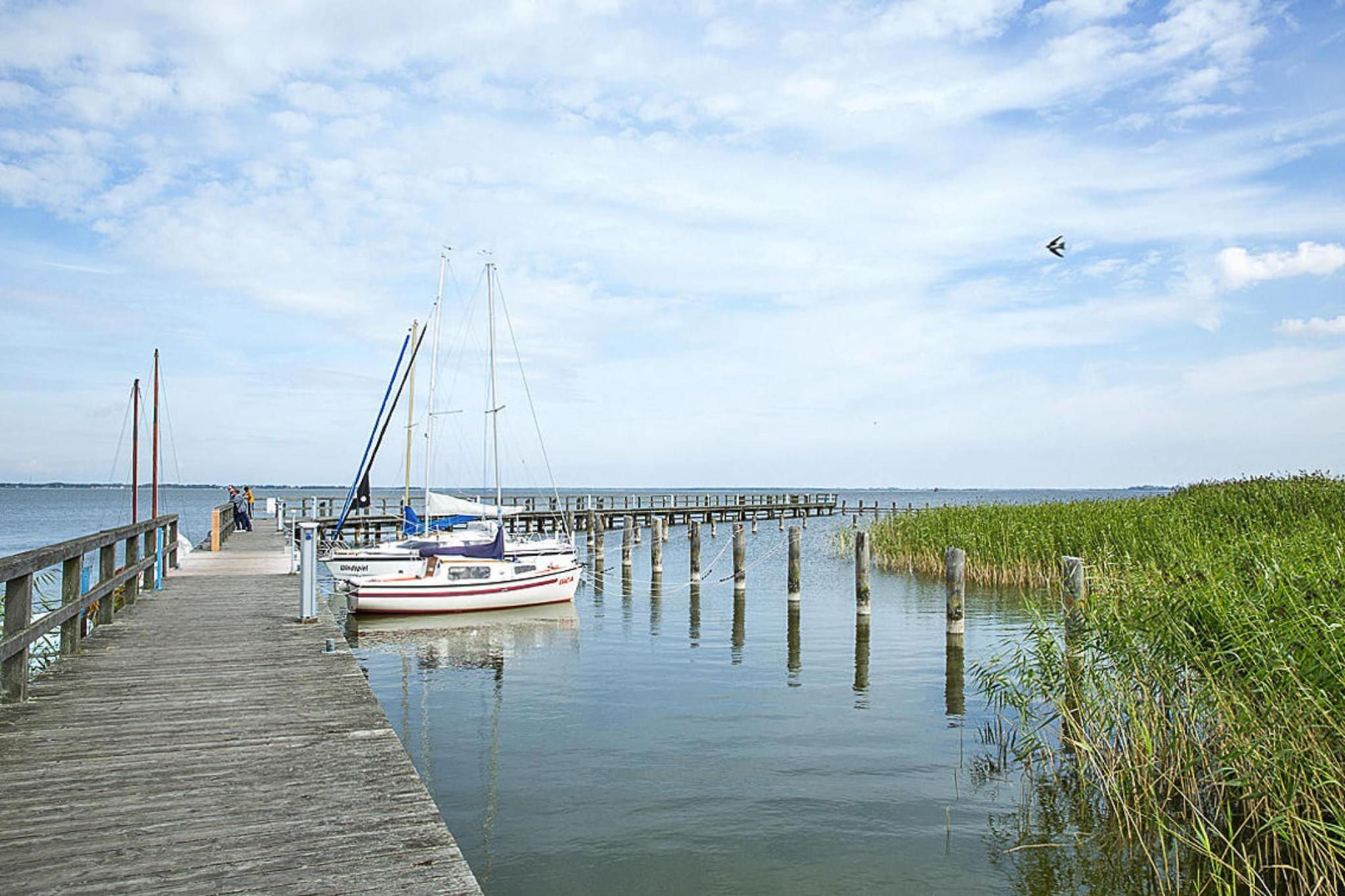 Seeadler 3-Gebieden zomer 5km