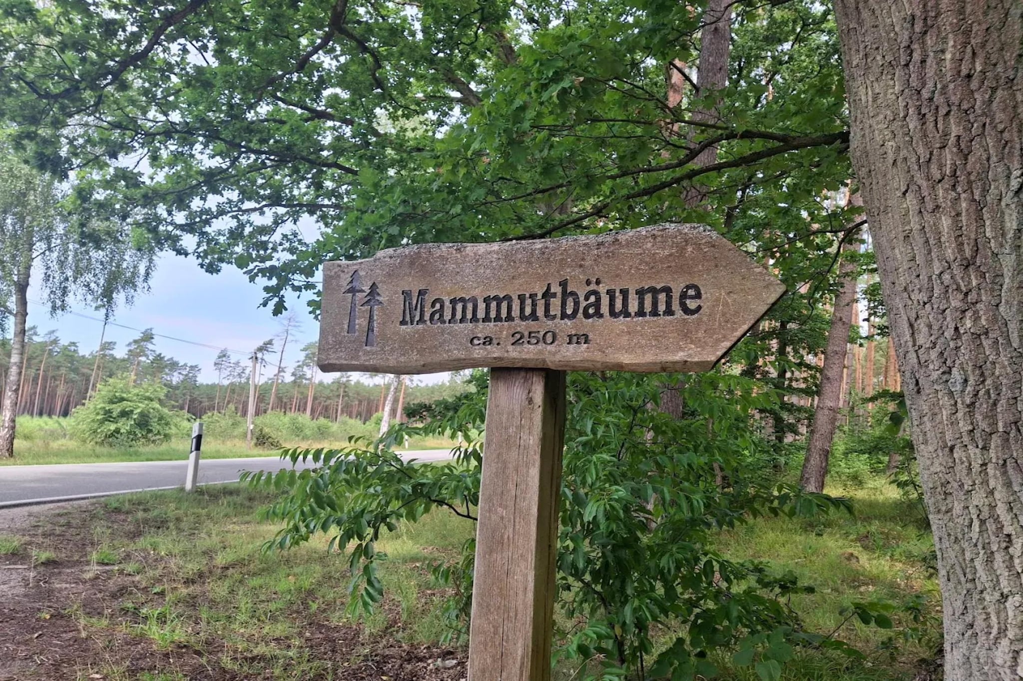 Birgit 7-8 Personen ganzes Haus 289 qm-Gebieden zomer 20km