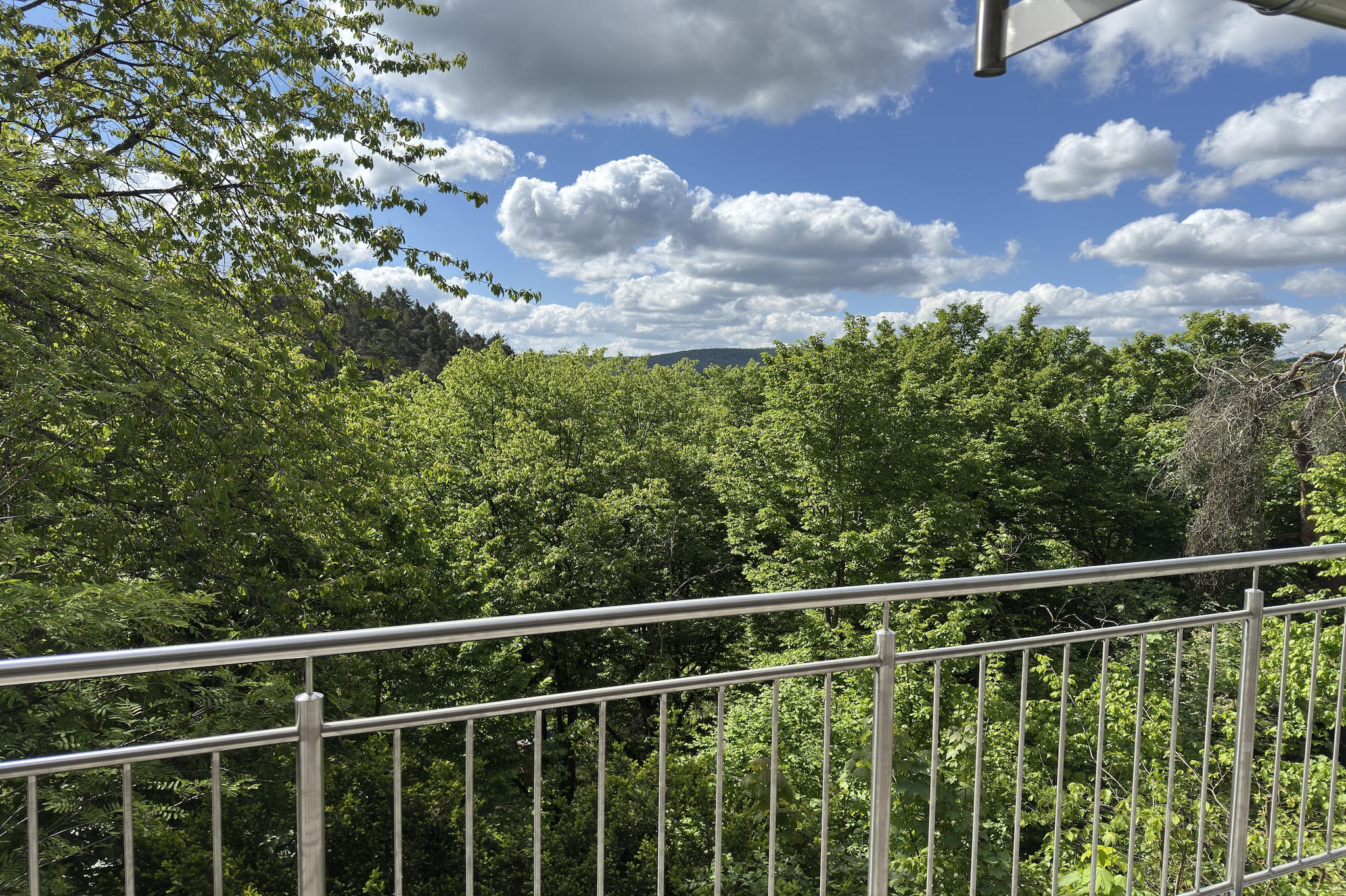 Ferienhaus Sackpfeifenblick-Aussicht Sommer