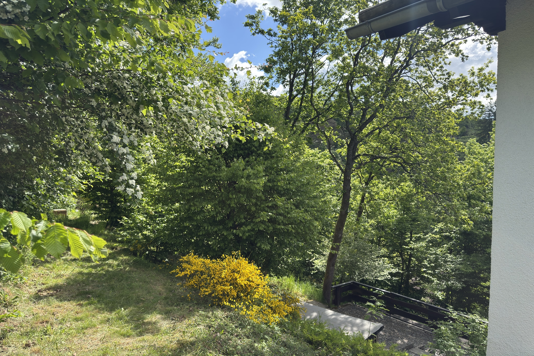 Ferienhaus Sackpfeifenblick-Gärten Sommer