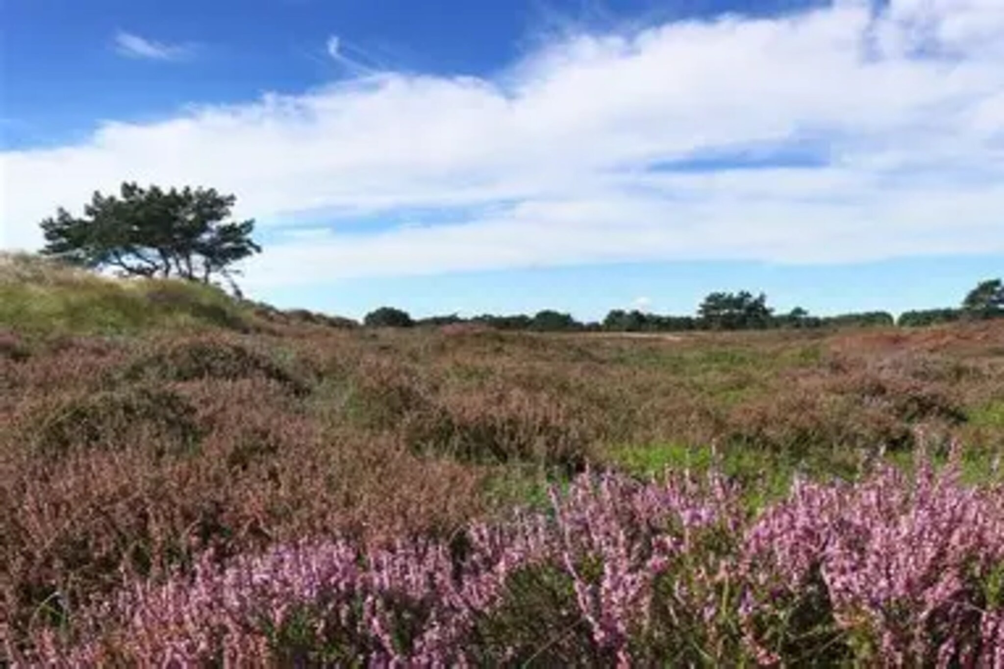 Post Hiddensee-Wohnung 18-Zones d'été à 5 km