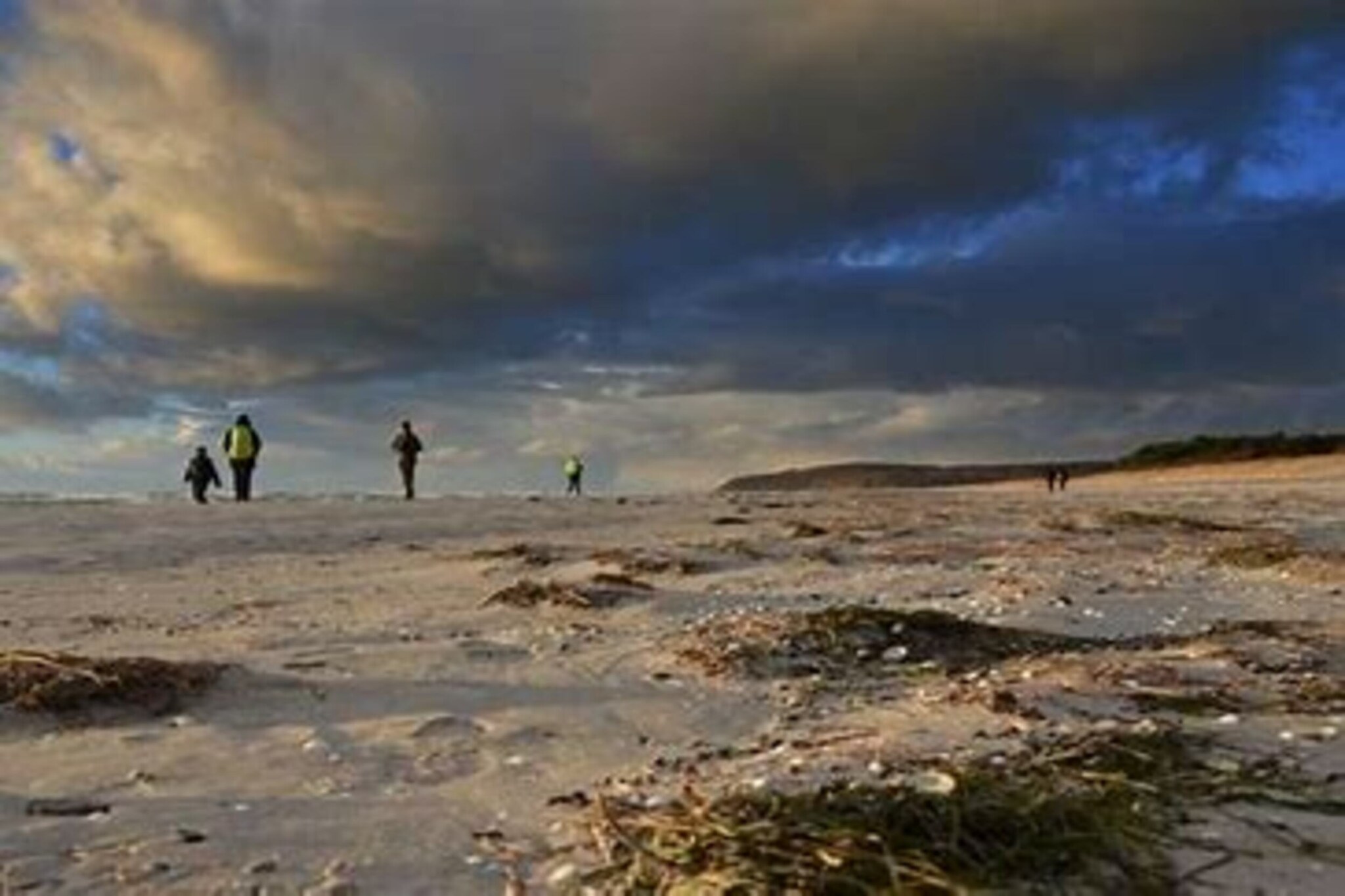 Post Hiddensee-Wohnung 18-Zones d'été à 5 km