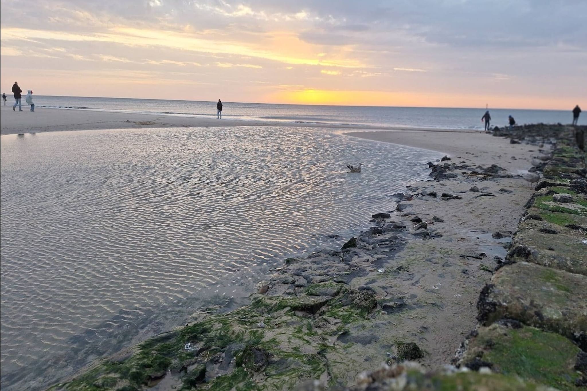 Apartementhaus Katharina Wohnung 5 - Westerland-Gebiete Sommer 5 km