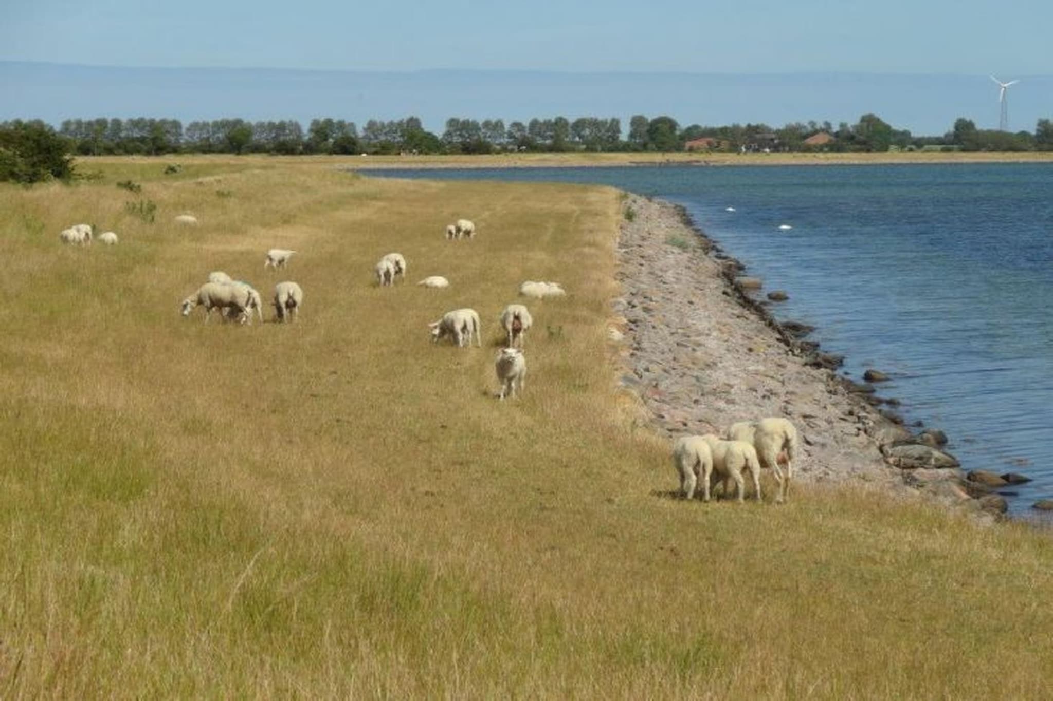 3-Raum-App 65 qm Typ A 4 1 OG - Gebieden zomer 5km
