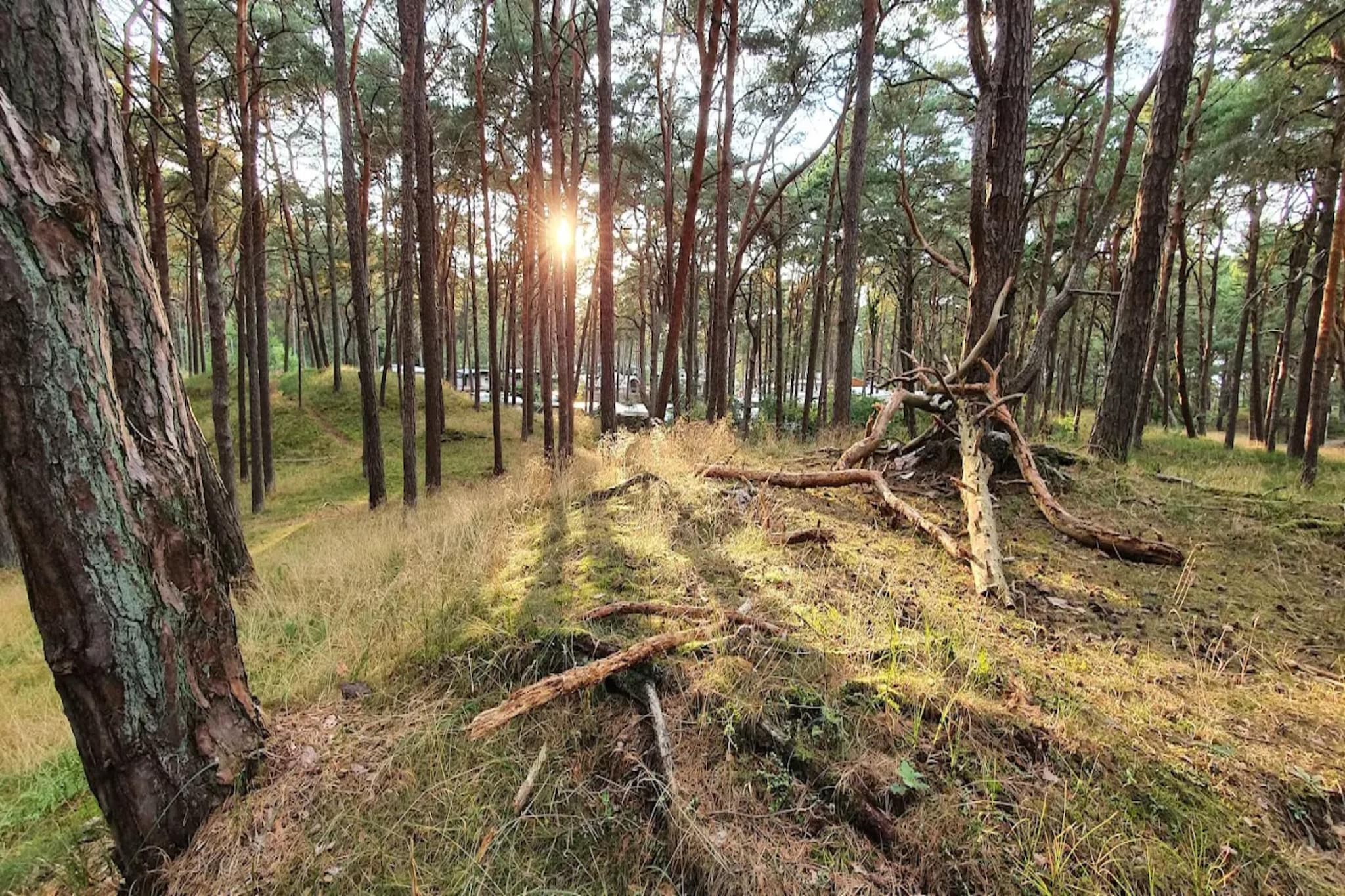 Im OG 50 qm-Gebieden zomer 5km