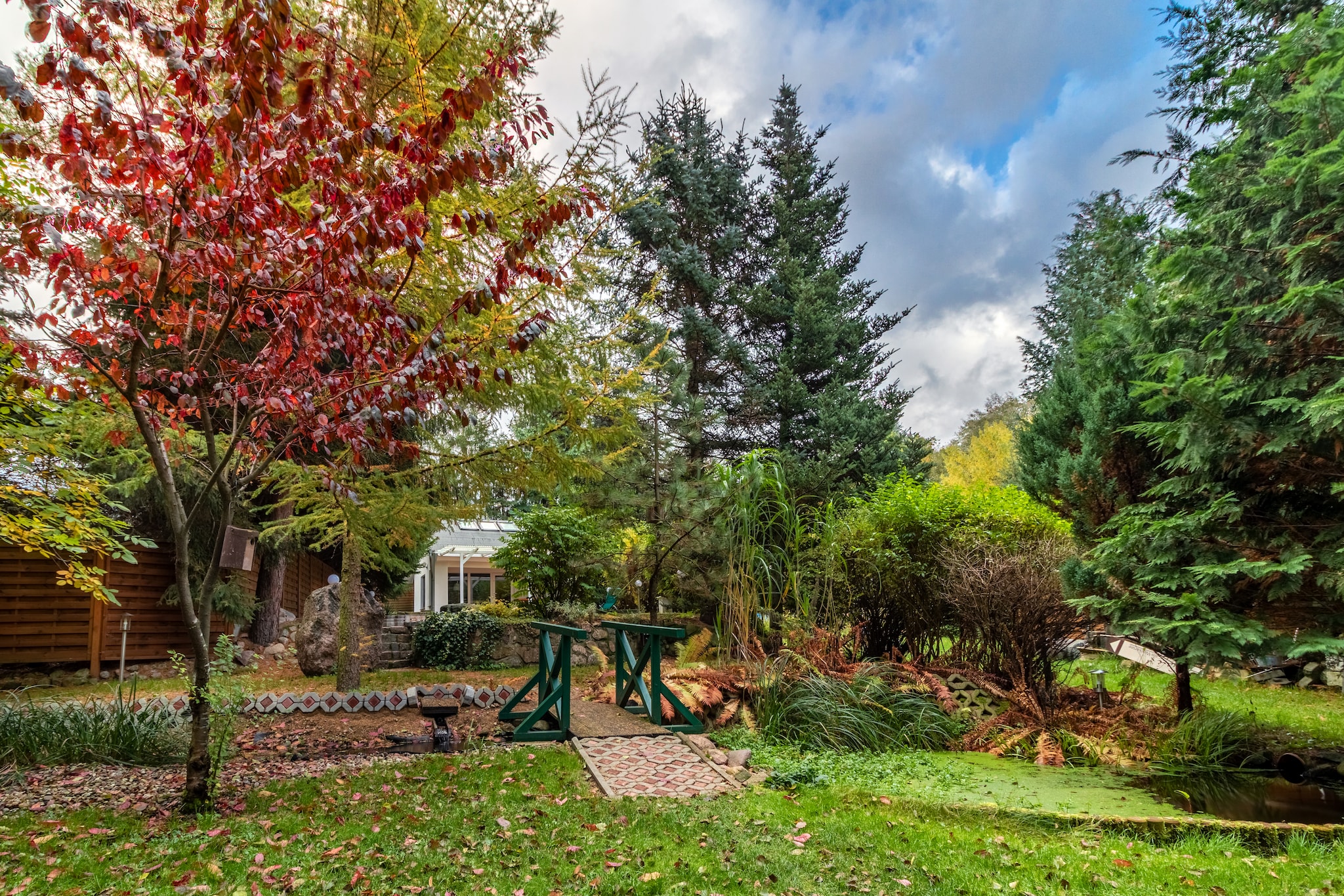 Ferienhaus 50 qm-Tuinen zomer