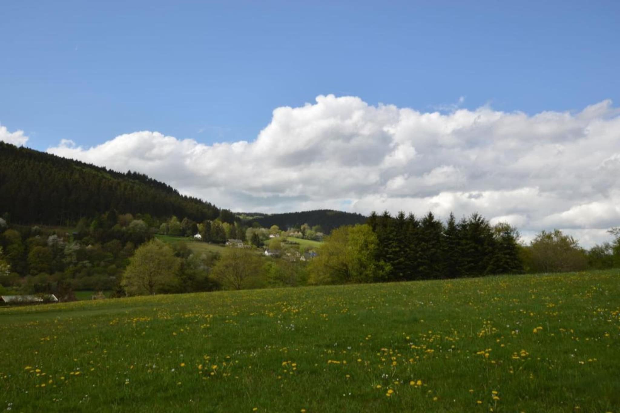 Ferienwohnung Schloss- Altshausen-Gebieden zomer 20km