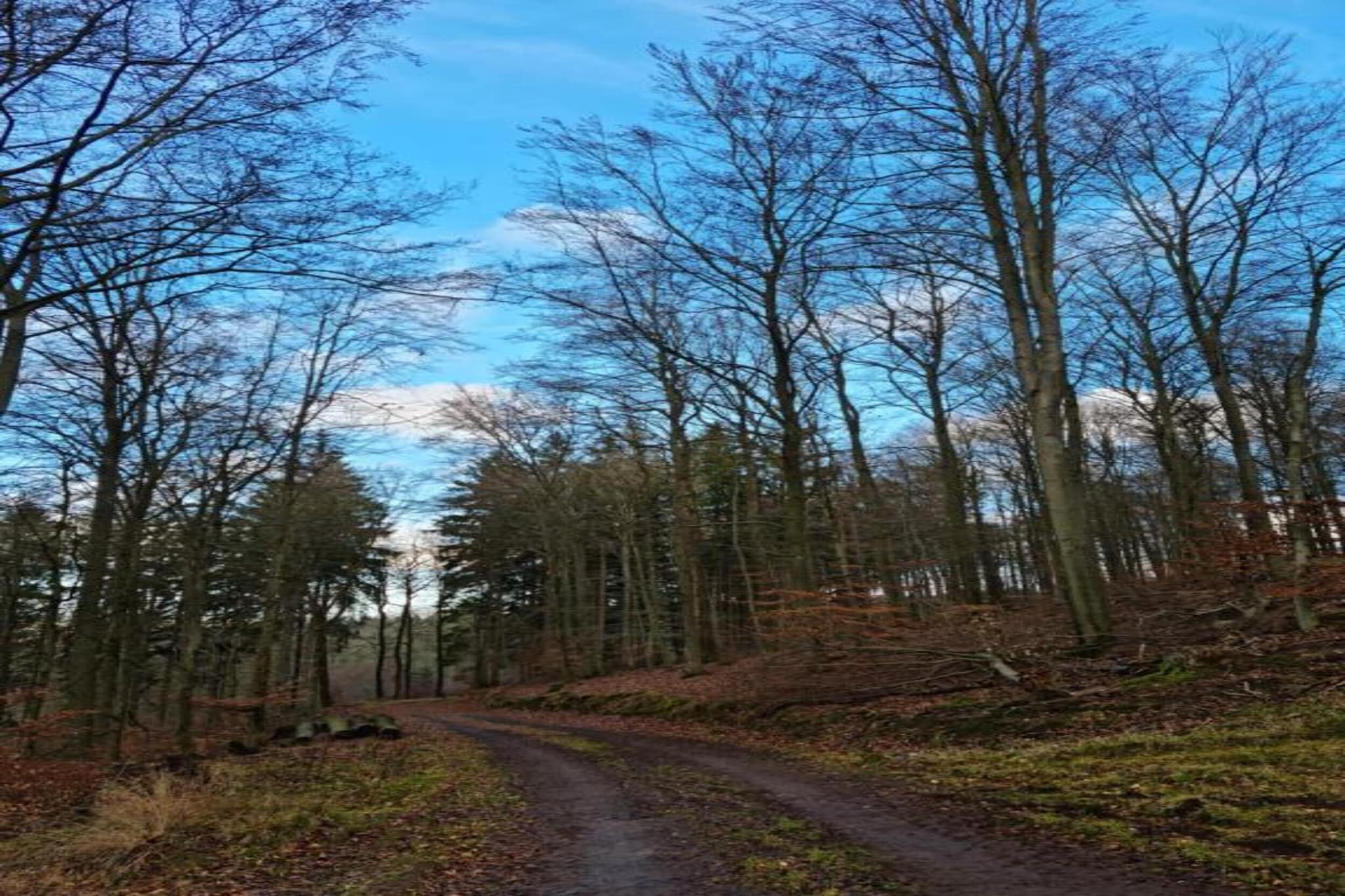 Ferienwohnung Schloss- Altshausen-Gebieden zomer 20km