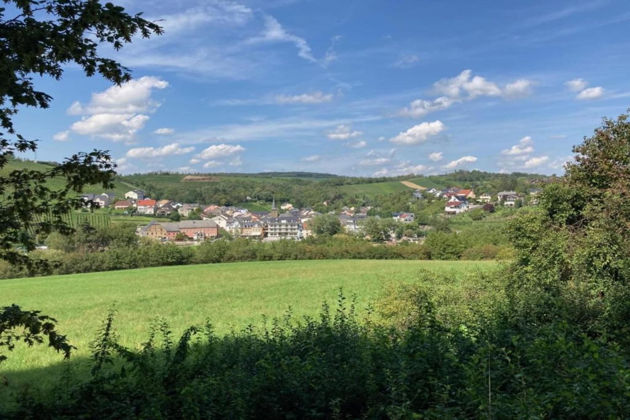 Ferienwohnung Schloss- Altshausen-Gebieden zomer 20km