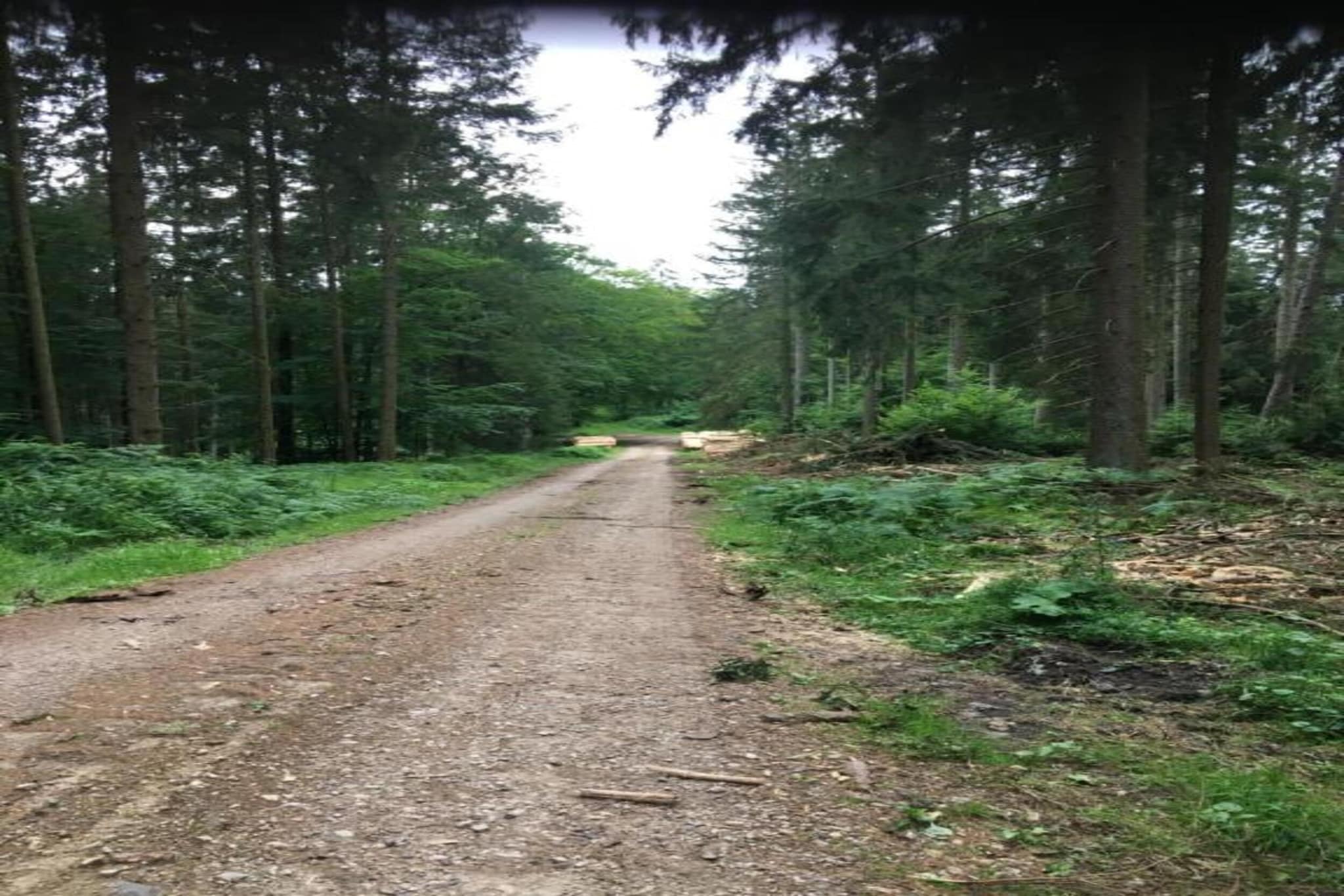 Ferienwohnung Schloss- Altshausen-Gebieden zomer 20km