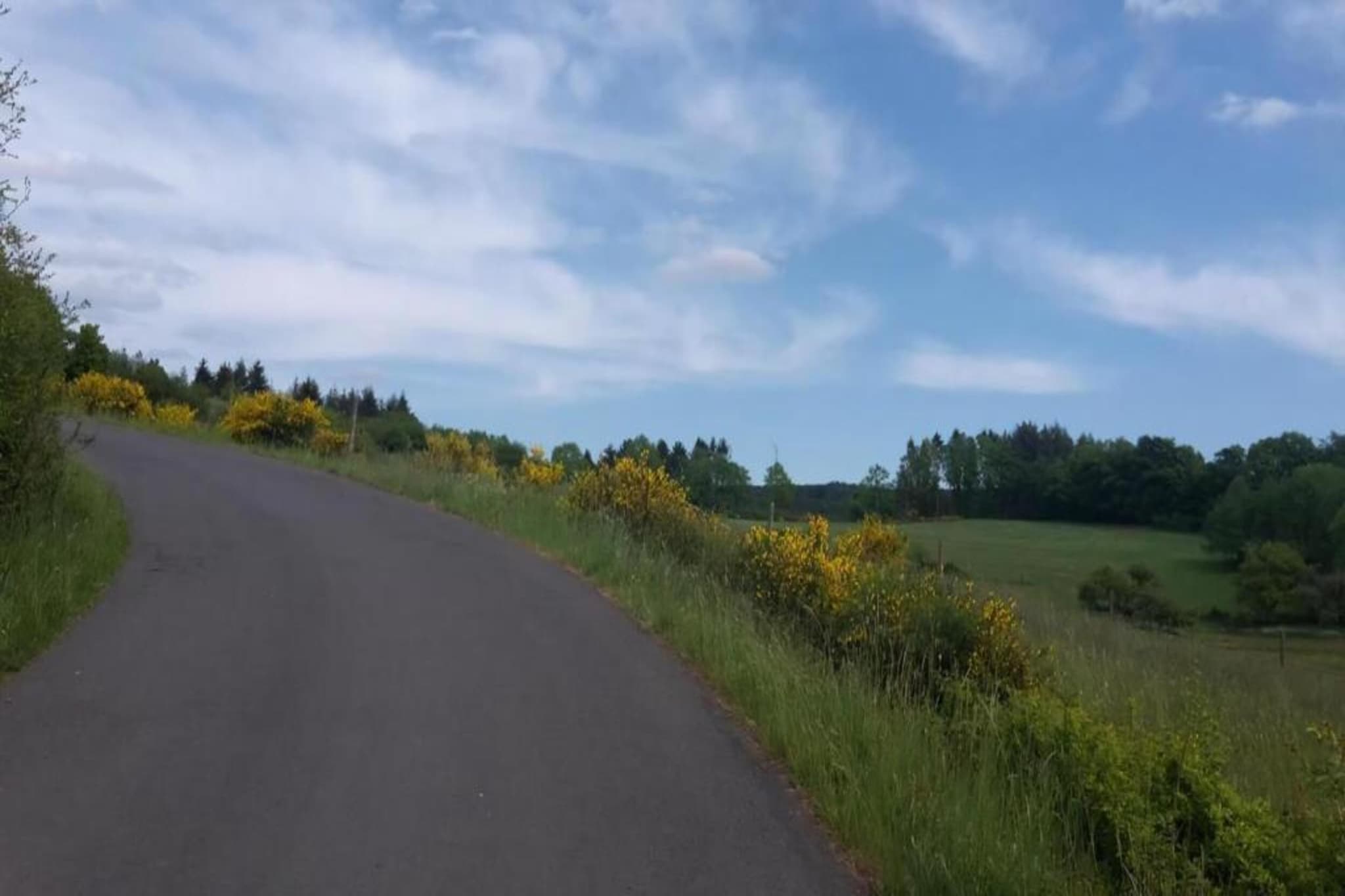 Ferienwohnung Schloss- Altshausen-Gebieden zomer 20km