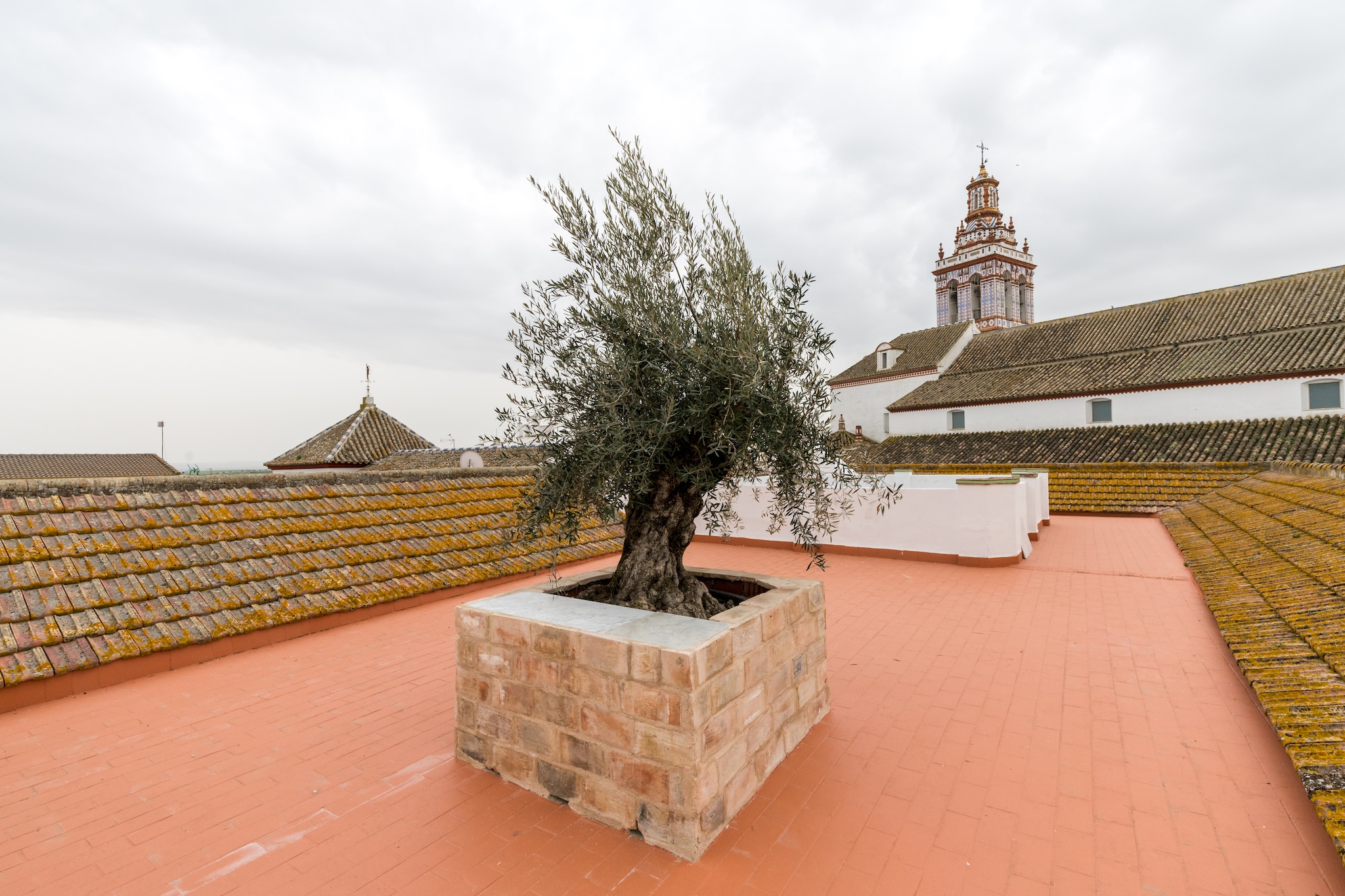 Come and stay in a manor house from the 18th century in Fuentes de AndalucÃa. It has been completely renovated, respecting its original structure and adapting it to the comforts of today. You will enjoy a lavish stay because the house features a patio (one of them with a private pool), a terrace with panoramic views, and many other interesting activities. This is the best vacation place for a large group of family and friends.
There are several lounges and even an exhibition area located near the property for your entertainment. Located in the heart of the town of Fuentes de AndalucÃa, this house is located strategically to know all the region.
The home has its old charm and has beautiful interiors along with a well-equipped kitchen. In the private illuminated garden, you can enjoy your meals and drinks in the evening. The terrace is a wonderful place to admire the surroundings. Here, a cot can also be arranged for your kid. 
About Belvilla
When you stay in a Belvilla home, you can rest assured of a unique holiday home in ideal surroundings at an attractive price. The portfolio of accommodations consists of more than 40,000-holiday homes in 20 European countries. Interested in a weekend getaway, a summer or winter sports holiday or simply a short break? Do you prefer the coast, the countryside or the mountains? Whatever your preference, there is a Belvilla home to meet your needs, from a cosy gîte for two to a castle big enough for the entire family, from an apartment in the heart of Rome to a cabin in the middle of nowhere, from a simple tree house to a luxury dream villa and from close to home to the other side of Europe.
A Belvilla home gives you the freedom to enjoy breakfast in your pyjamas or continue a good conversation into the morning hours without having to worry about the bar's closing time. Prepare gourmet meals with fresh local ingredients in your own kitchen and take advantage of having your own swimming pool to do as many cannonballs as you want! In other words, you can enjoy complete privacy in your home away from home.