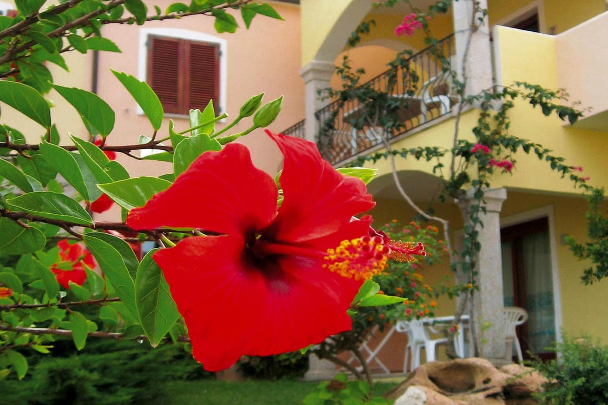 Residence Badus, Badesi-Bilo 4 - Ambiente