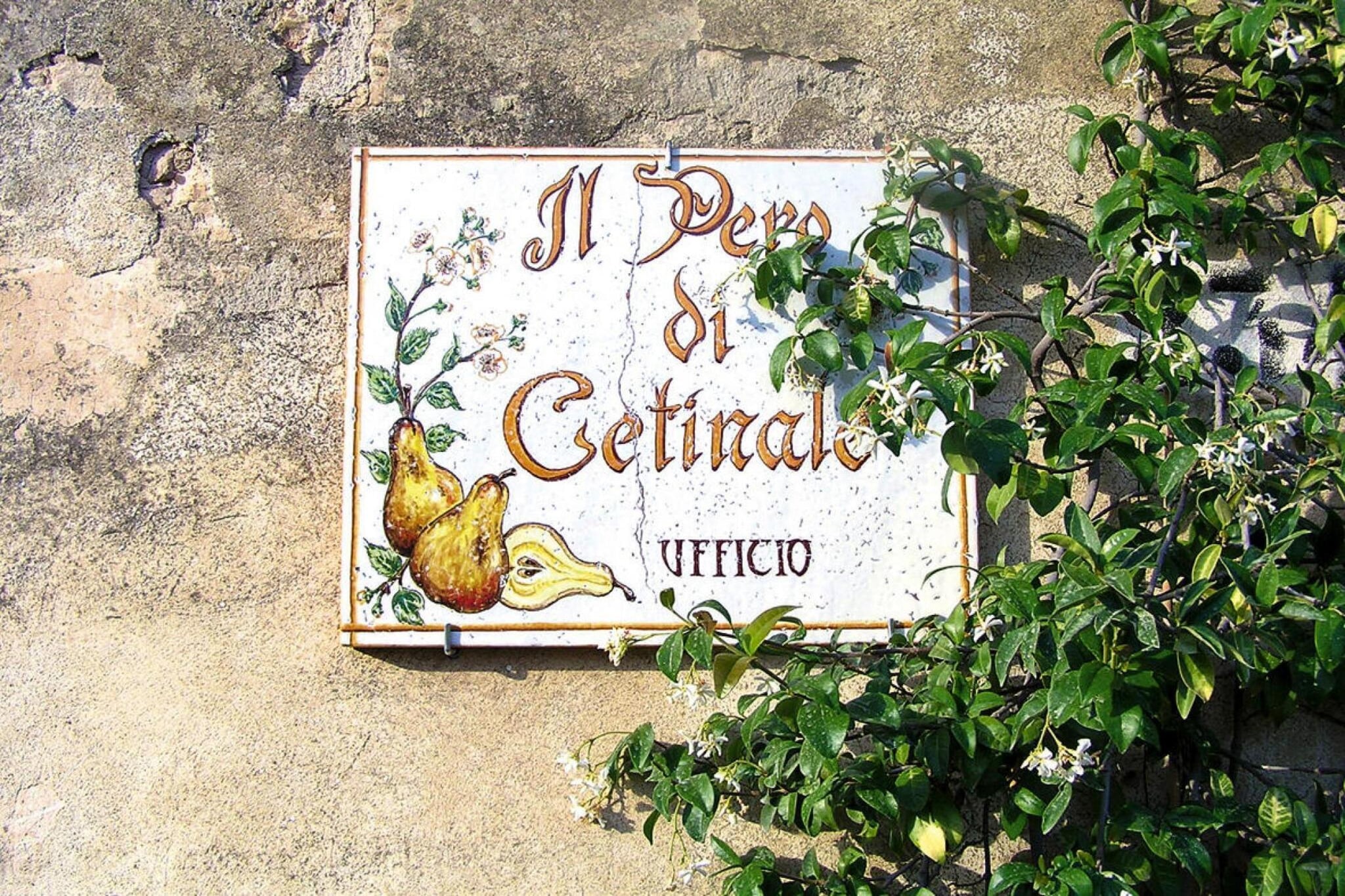 Residence Il Pero di Cetinale Sovicille Typ A 40 qm - Sfeer