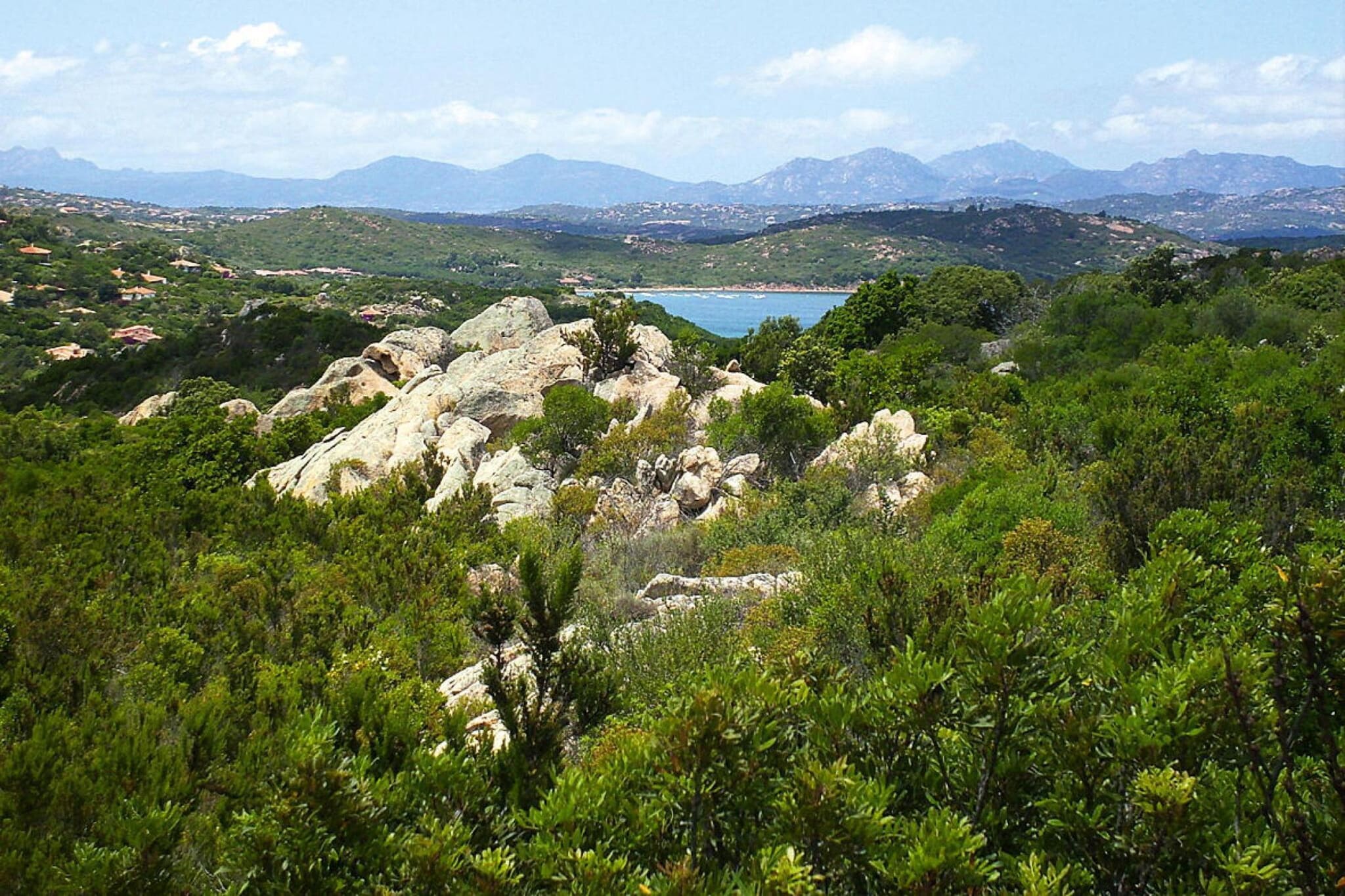 Residence La Tartaruga, Monte Petrosu-trilo 6-trilo 6-Uitzicht zomer